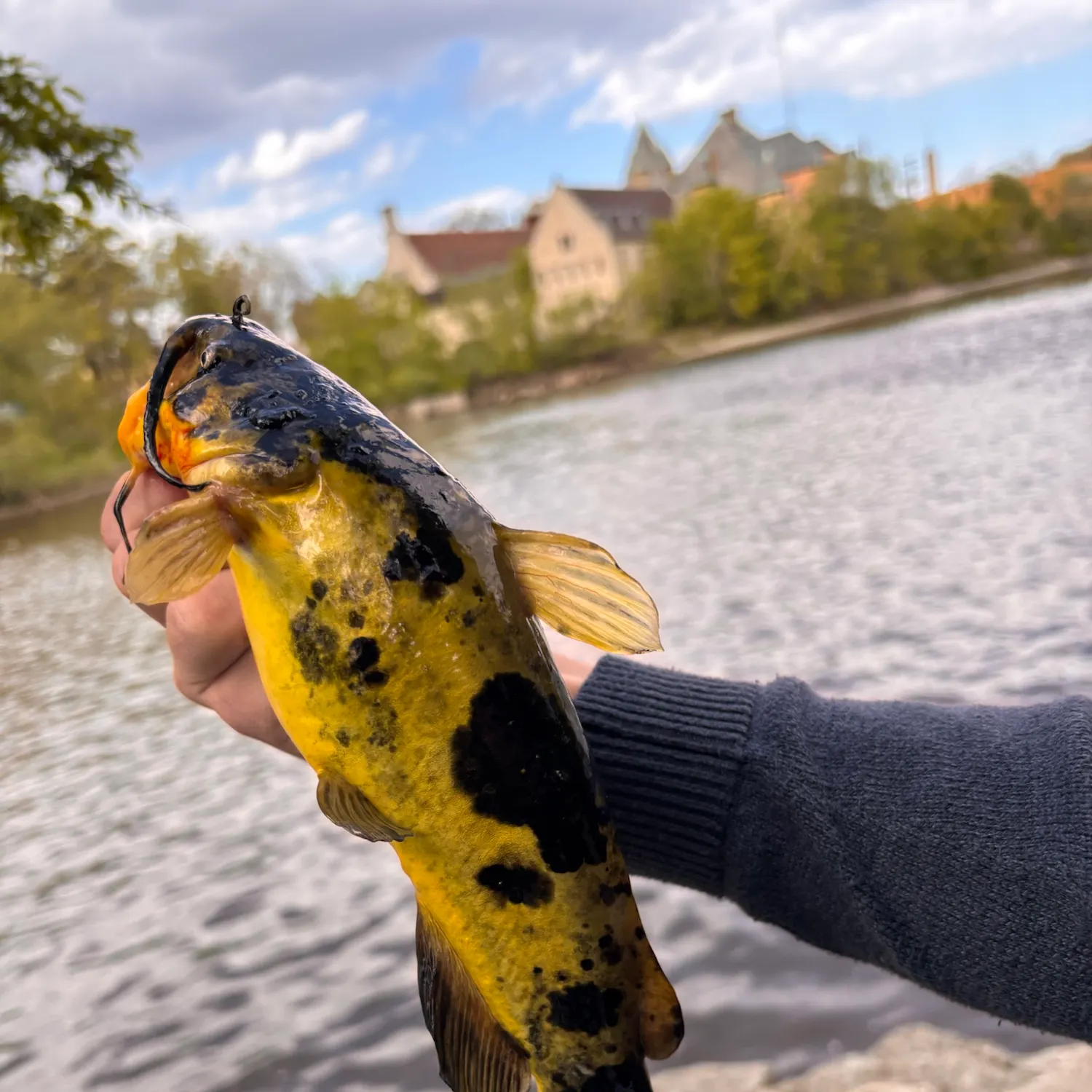 catch