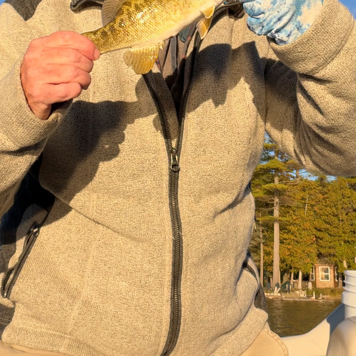 Smallmouth bass caught on Fishbrain