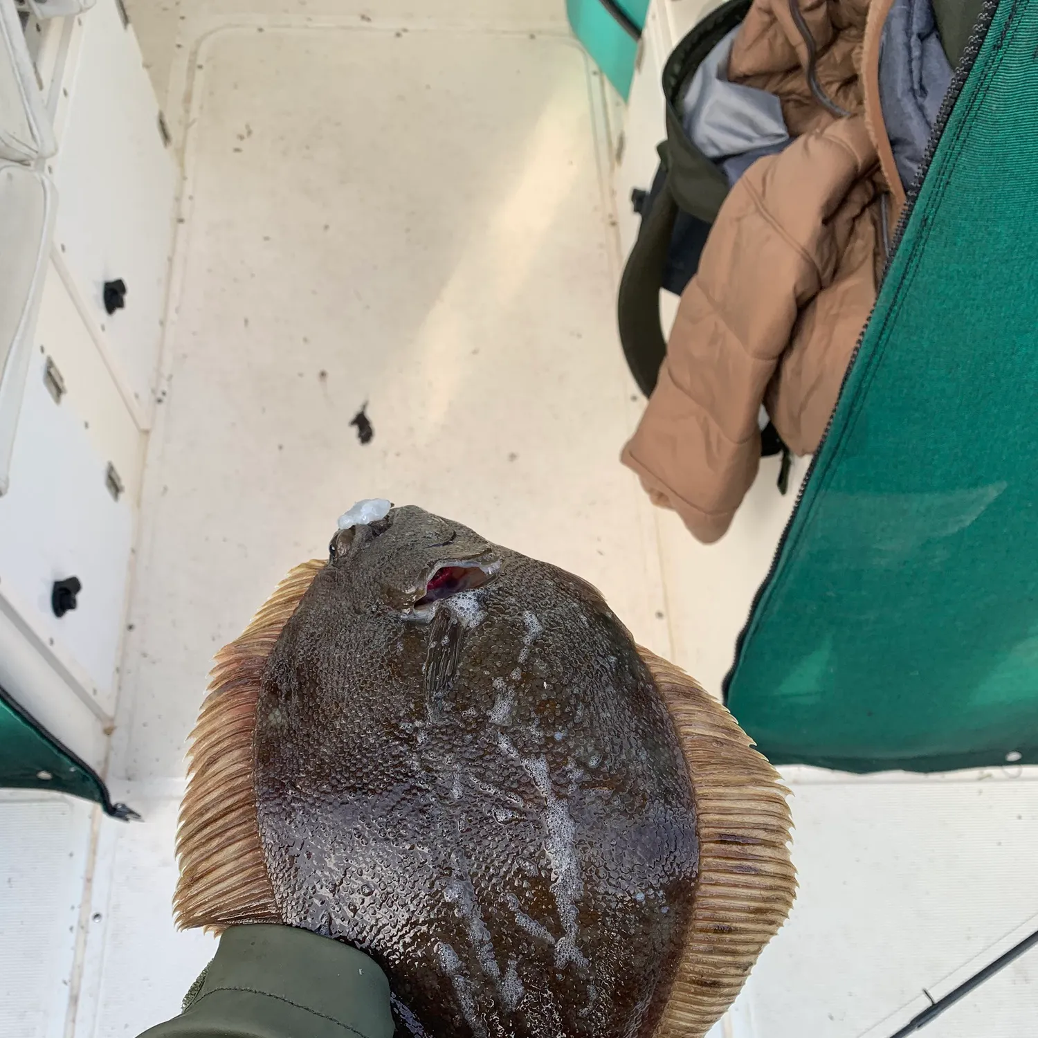 The most recent Northern rock sole catches on Fishbrain
