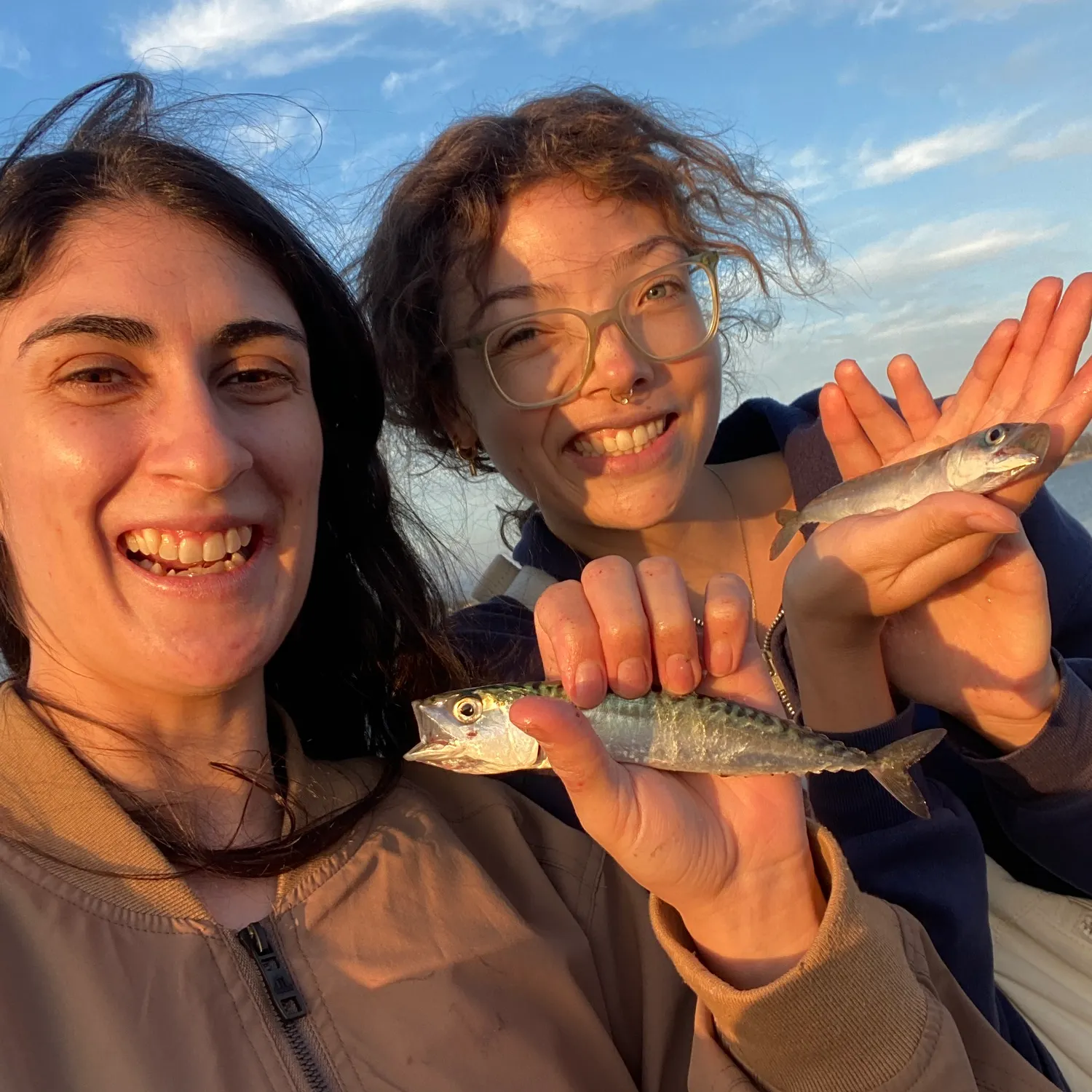 Pacific chub mackerel caught on Fishbrain