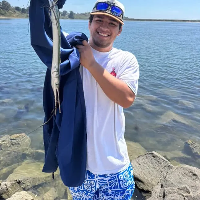 The most recent Needlenose gar catches on Fishbrain