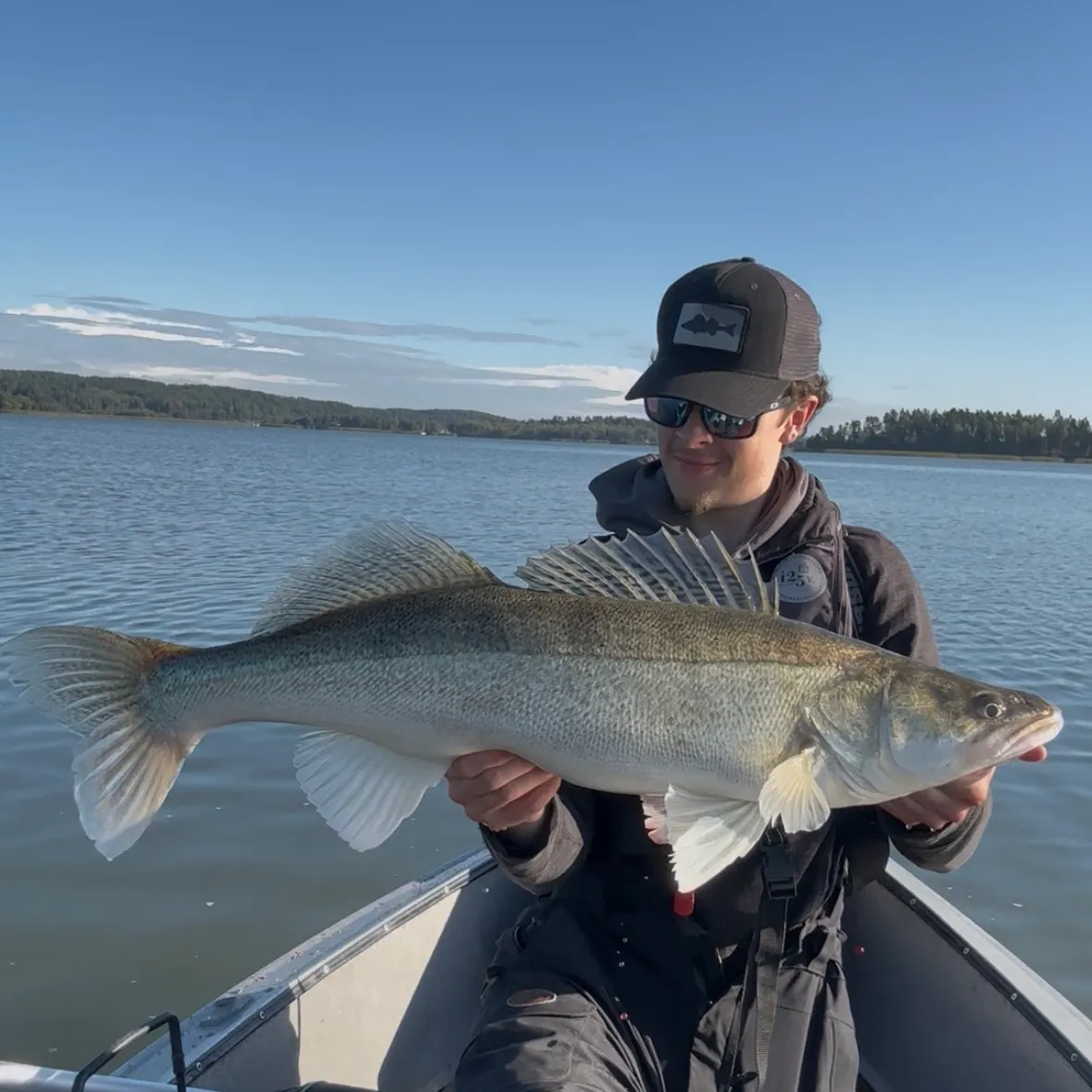 Zander caught on Fishbrain