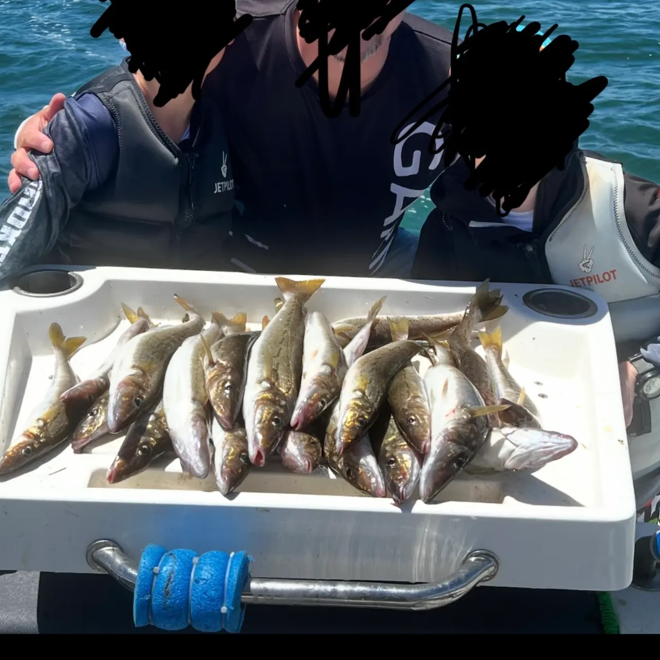 The most recent King George whiting catches on Fishbrain
