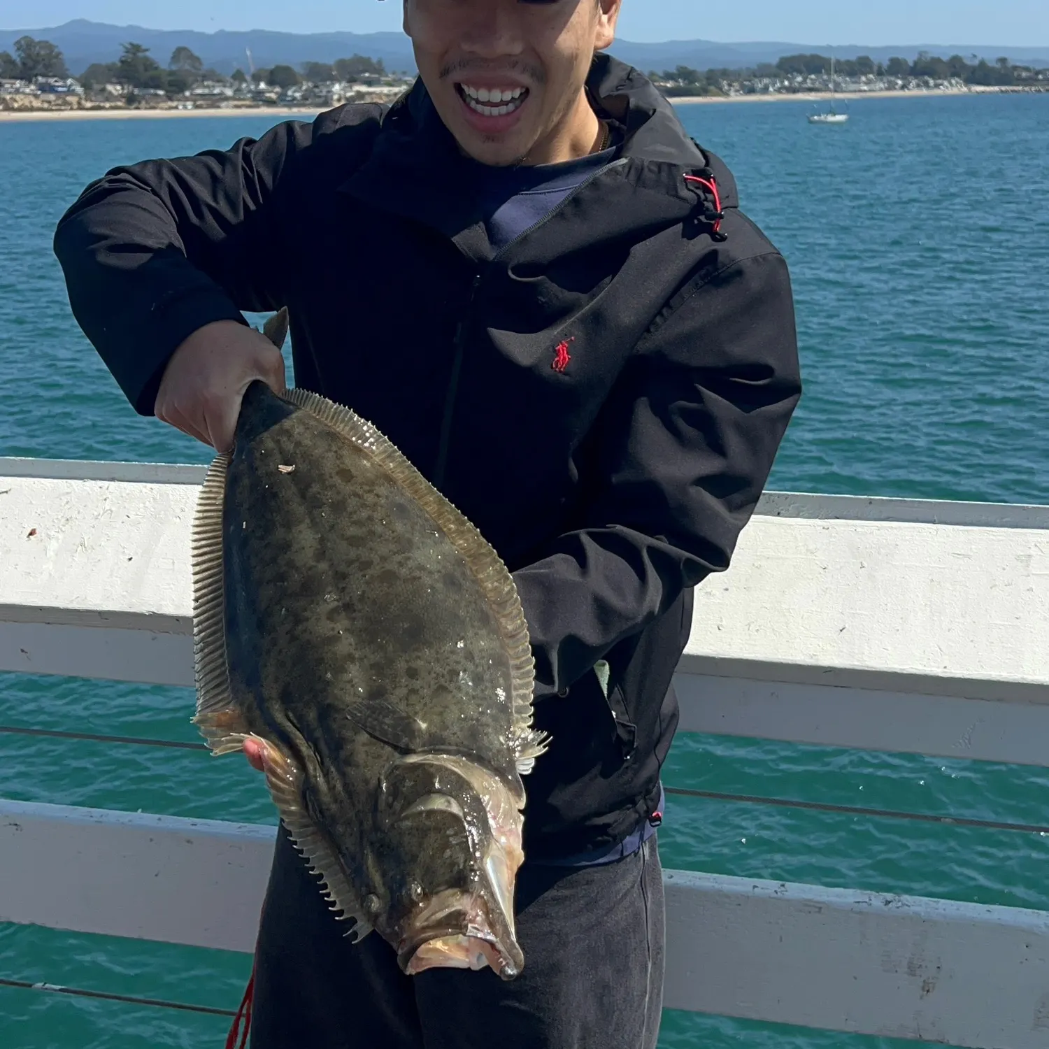 California halibut caught on Fishbrain