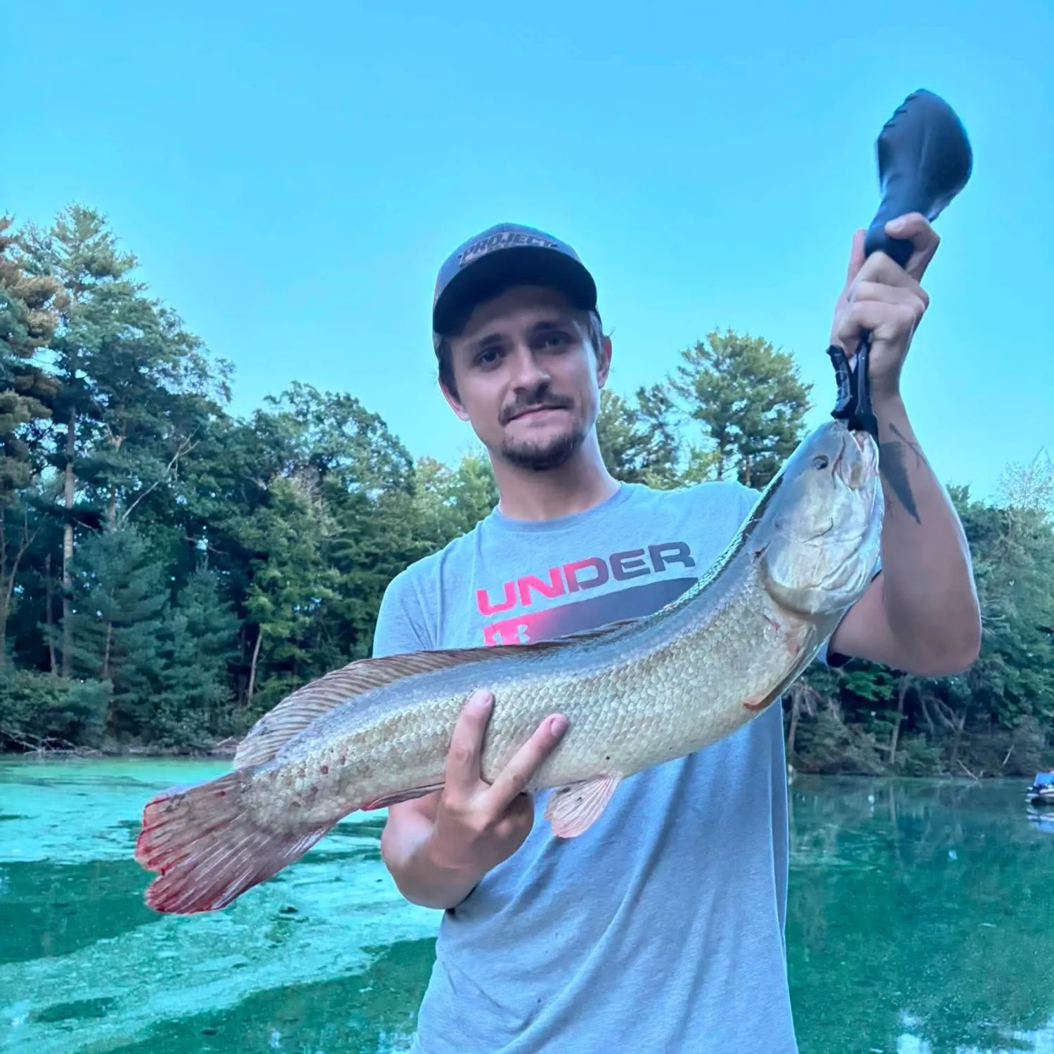 Eyetail bowfin caught on Fishbrain