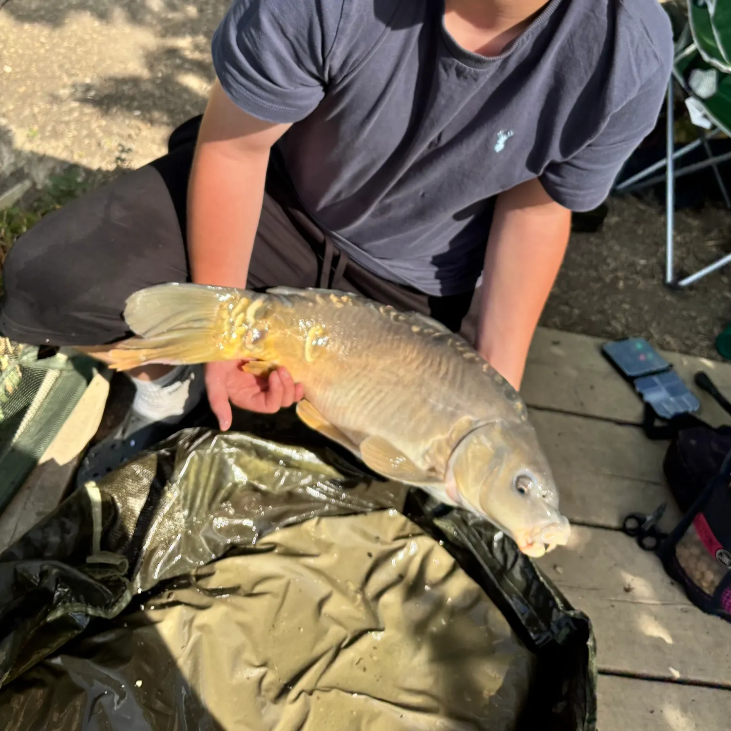 Mirror carp caught on Fishbrain