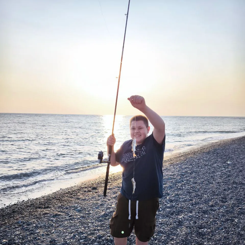most liked catch image