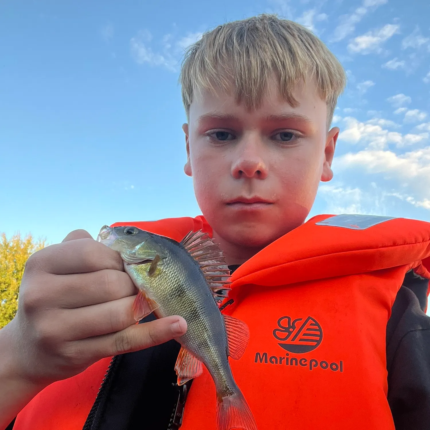 European perch caught on Fishbrain