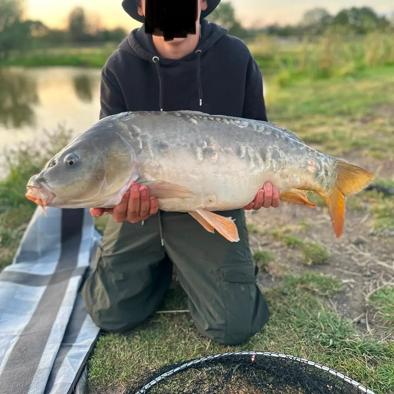Mirror carp caught on Fishbrain