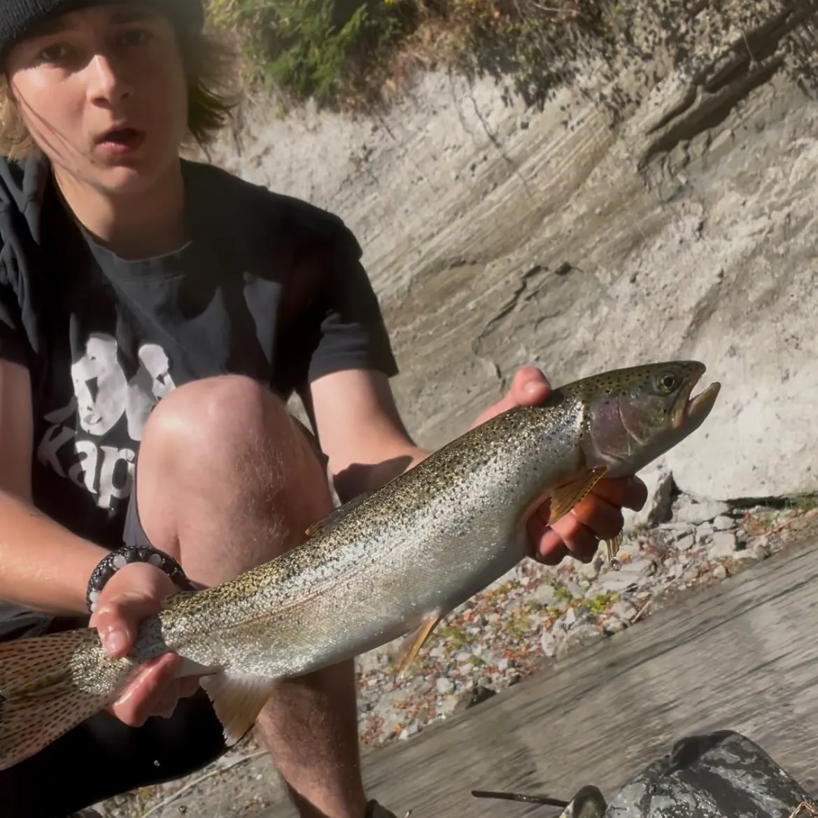 Coastal cutthroat trout caught on Fishbrain