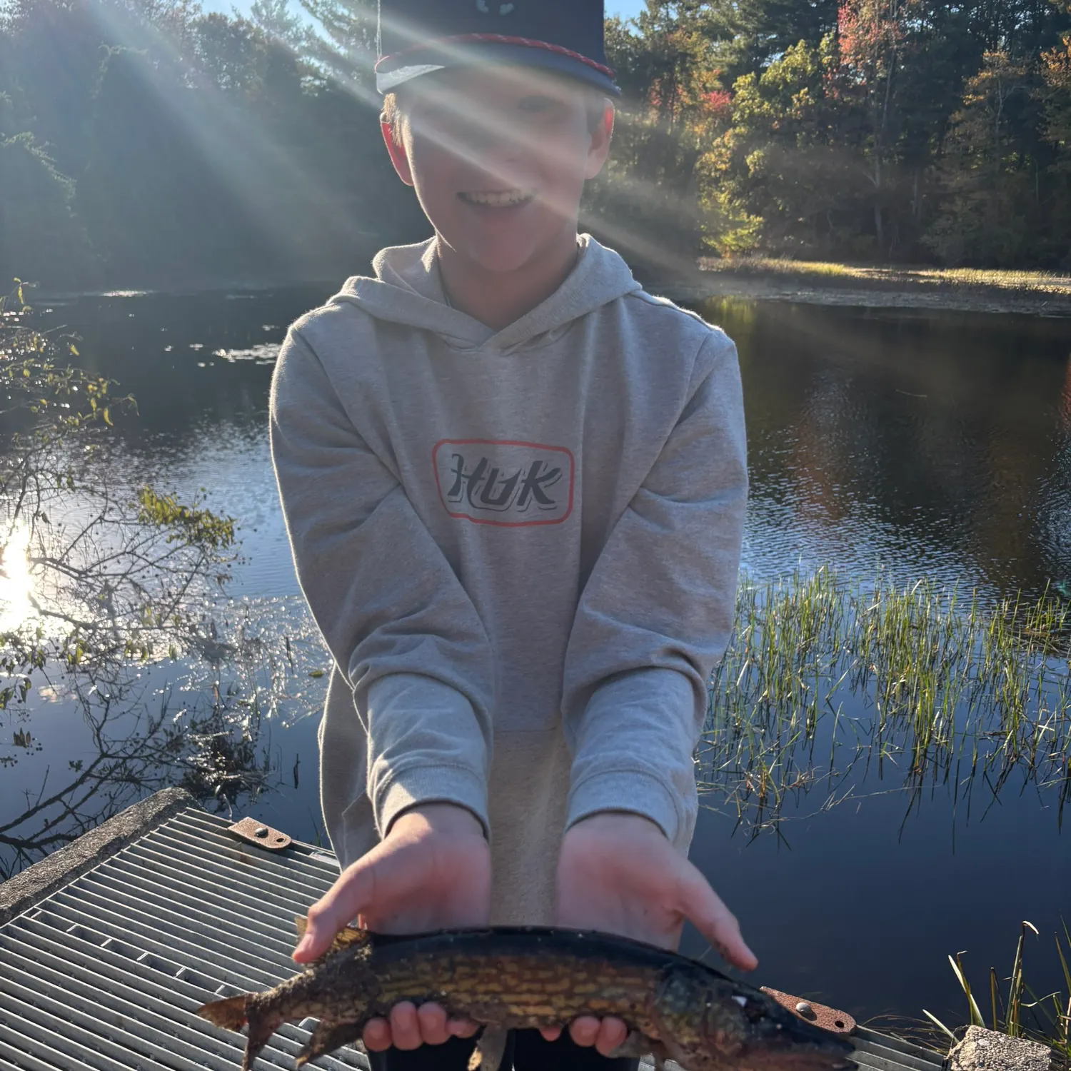 Chain pickerel caught on Fishbrain