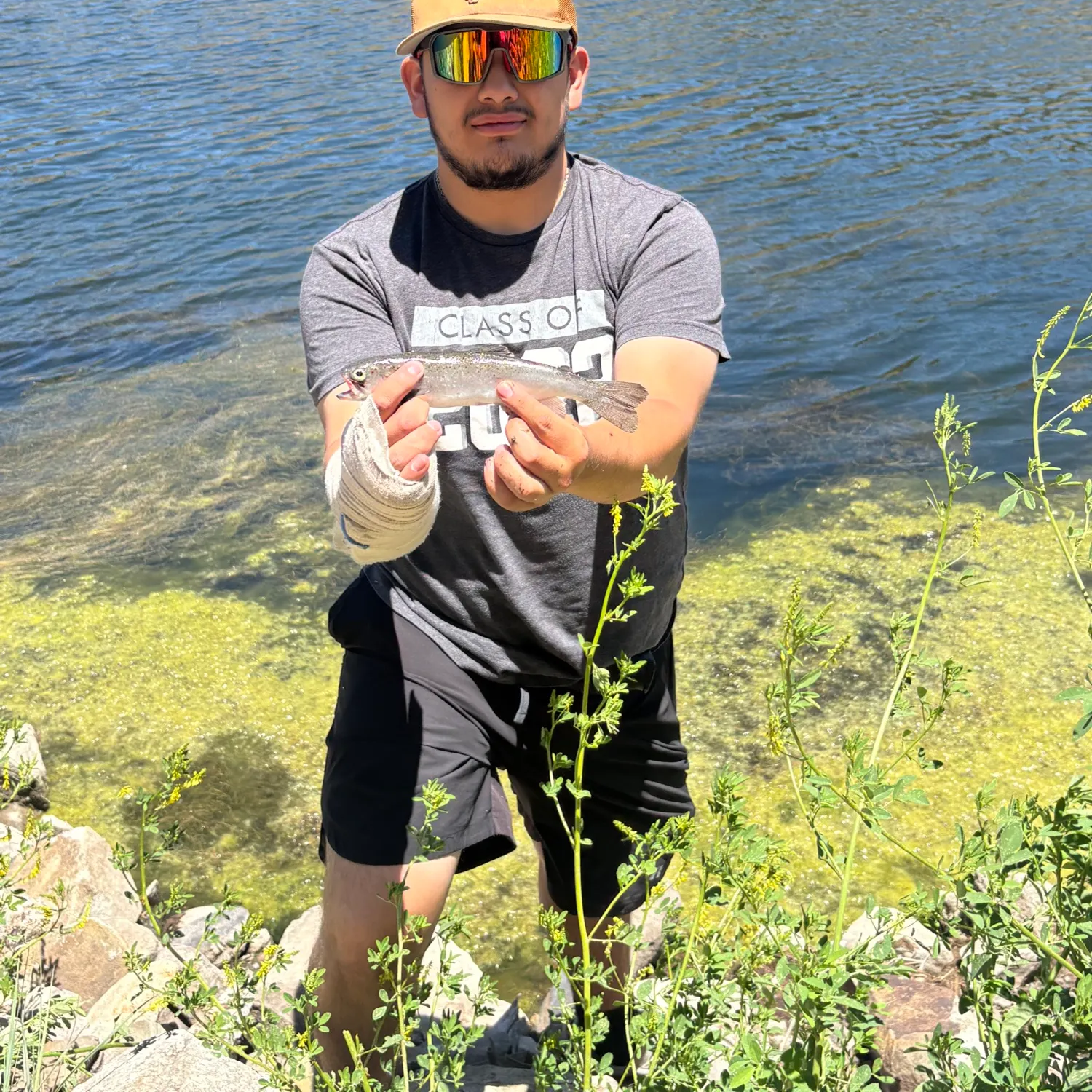 catch
