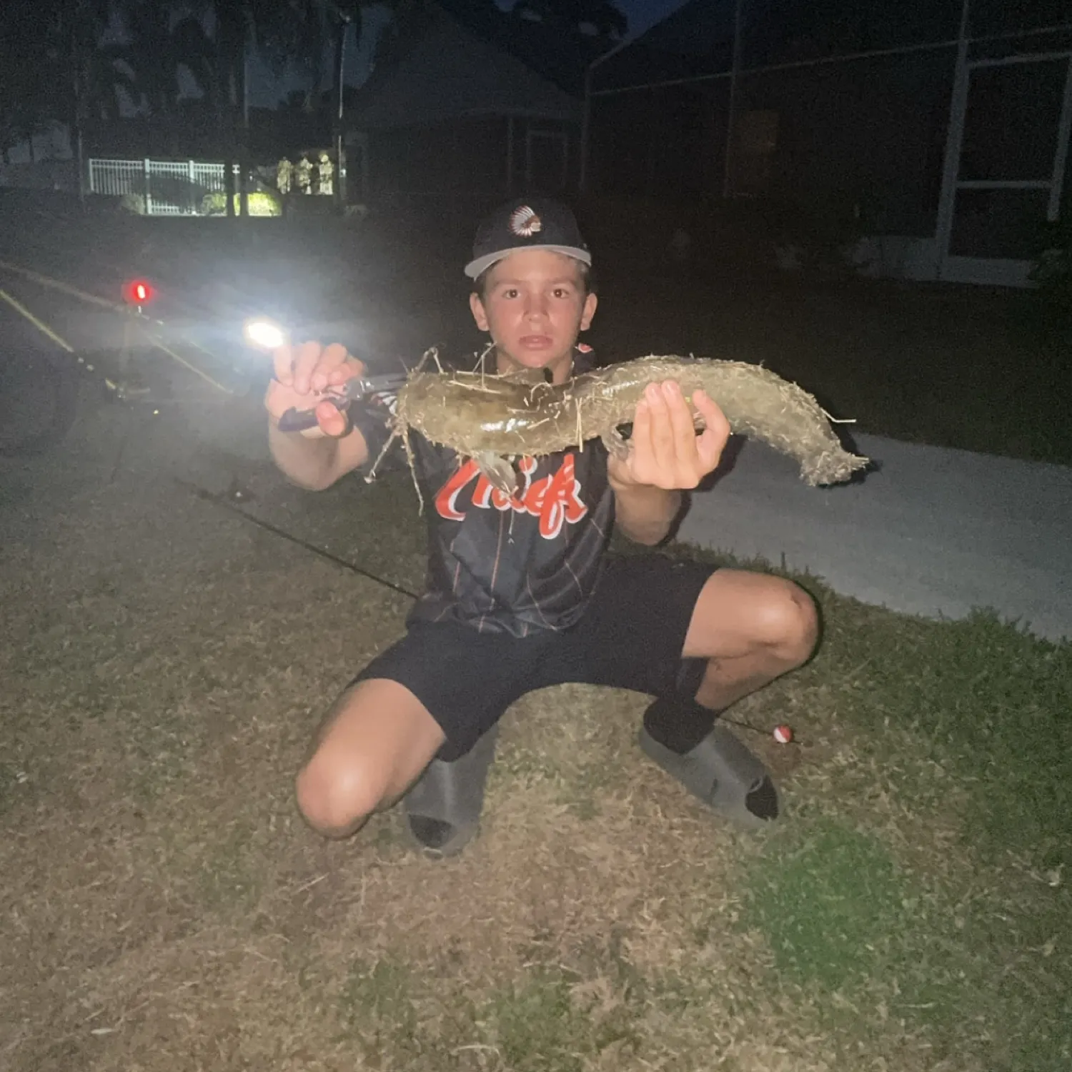 The most popular recent North African catfish catch on Fishbrain