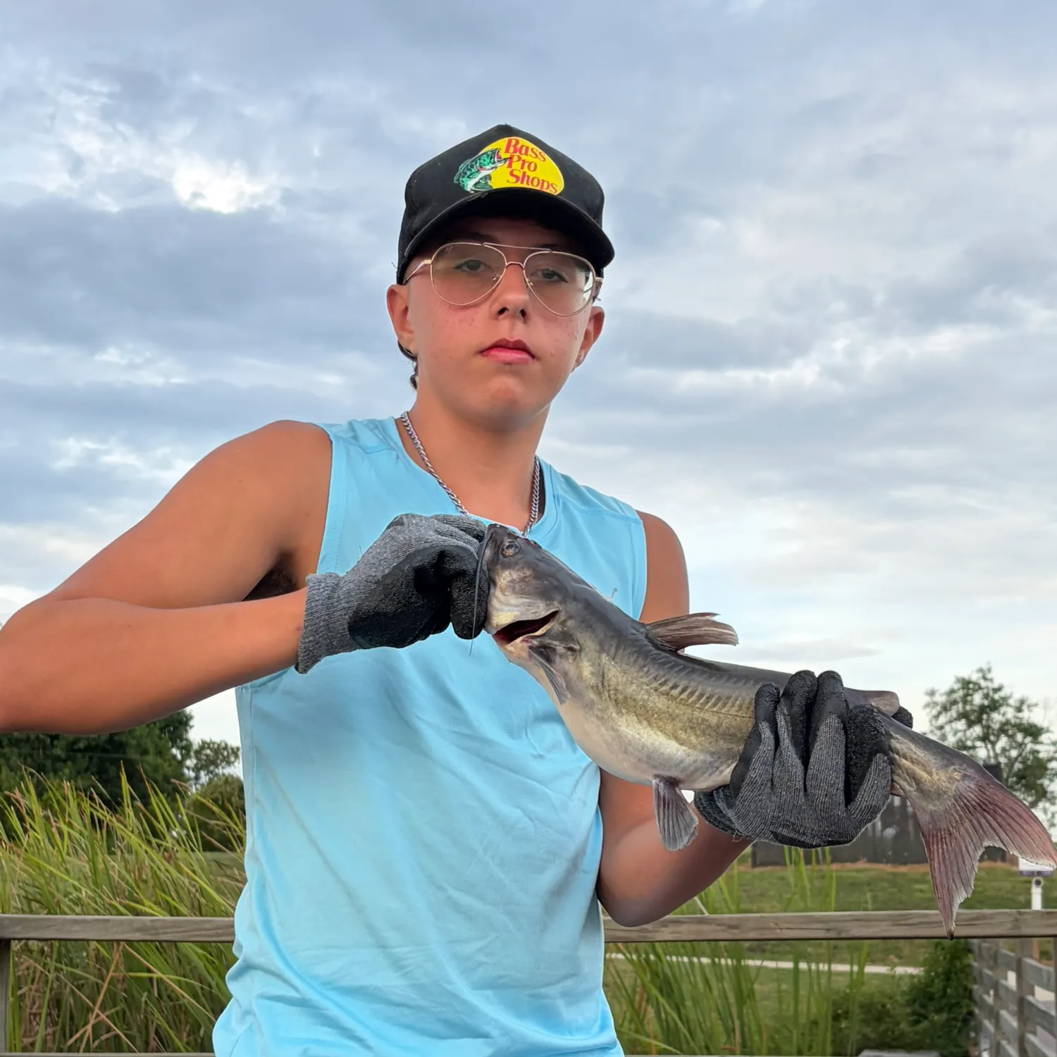 Channel catfish caught on Fishbrain