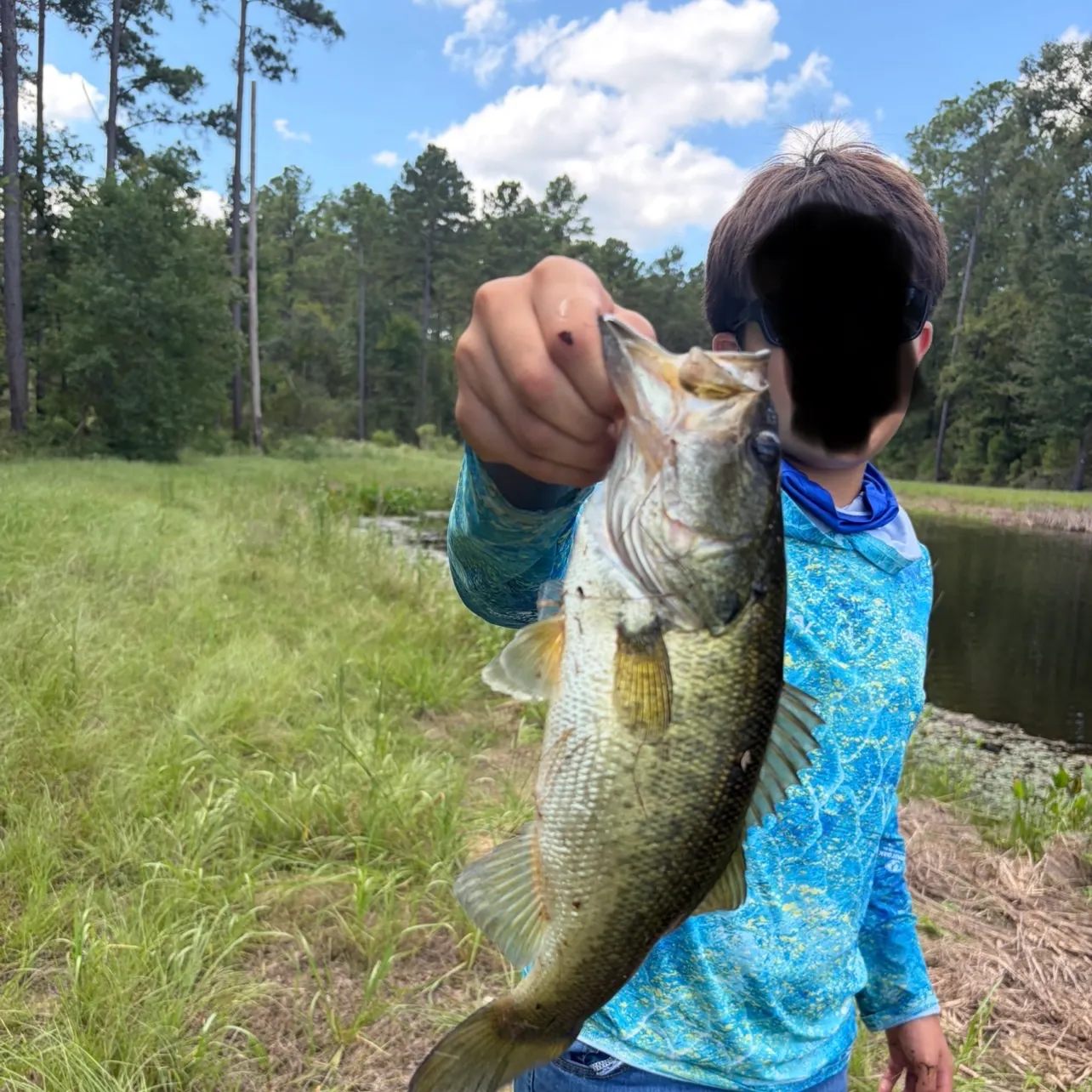 Largemouth bass caught on Fishbrain