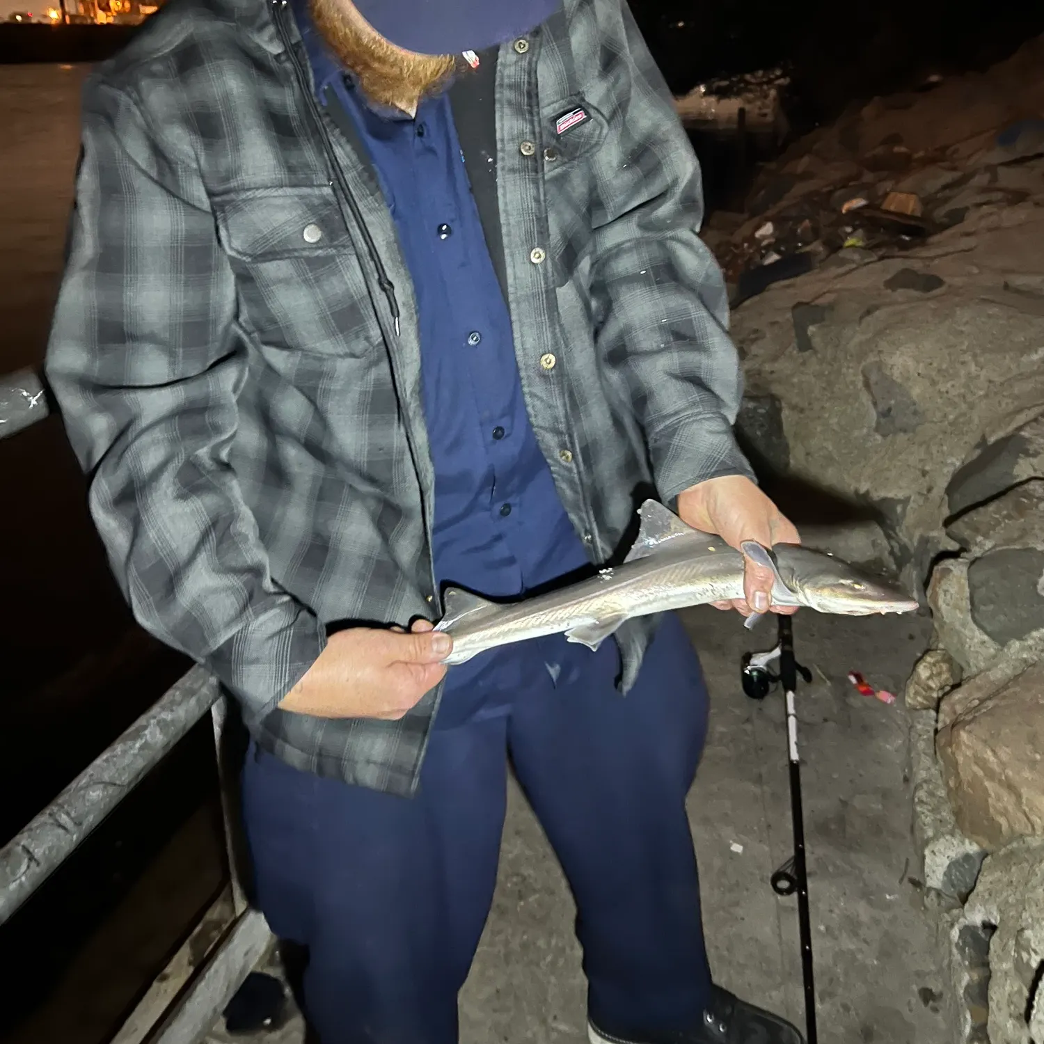 The most recent Milk shark catches on Fishbrain