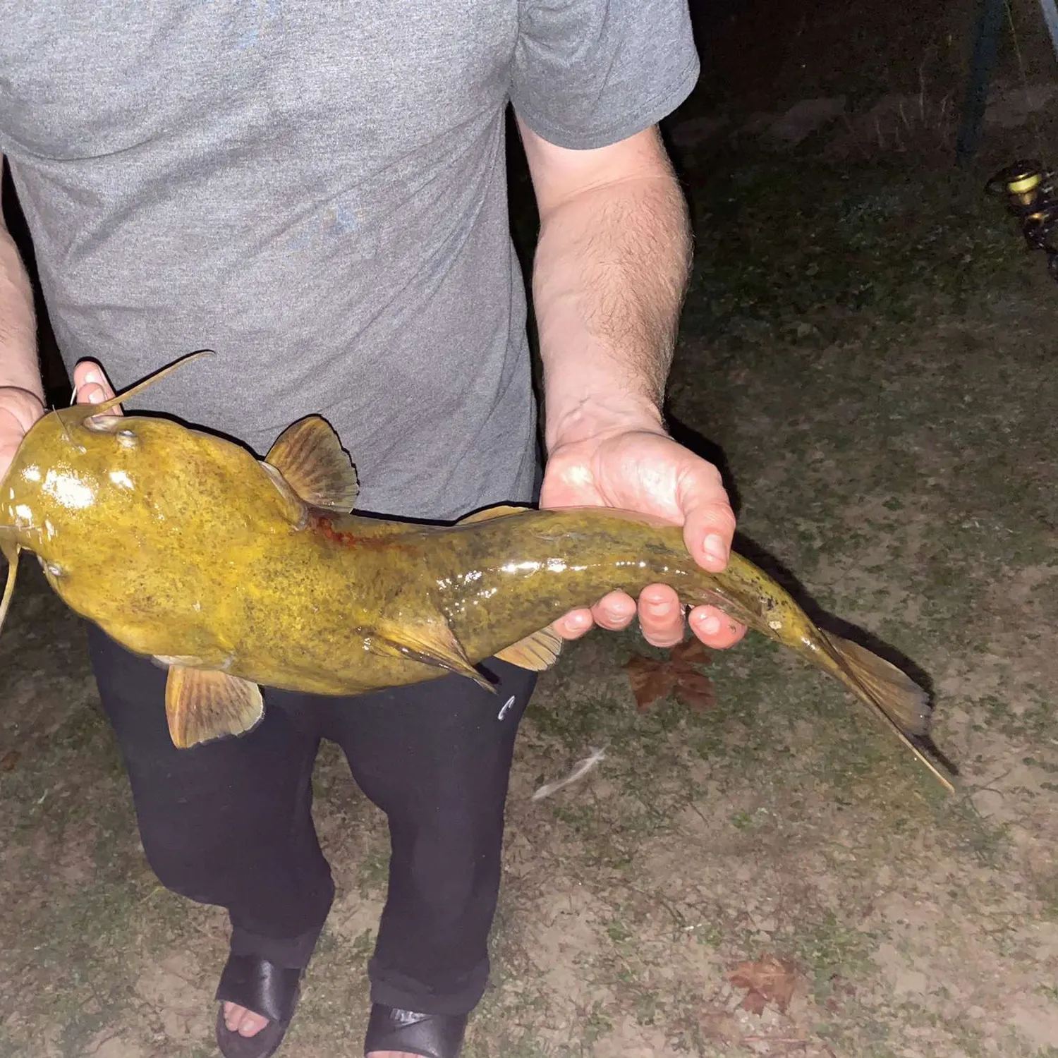 angler catch