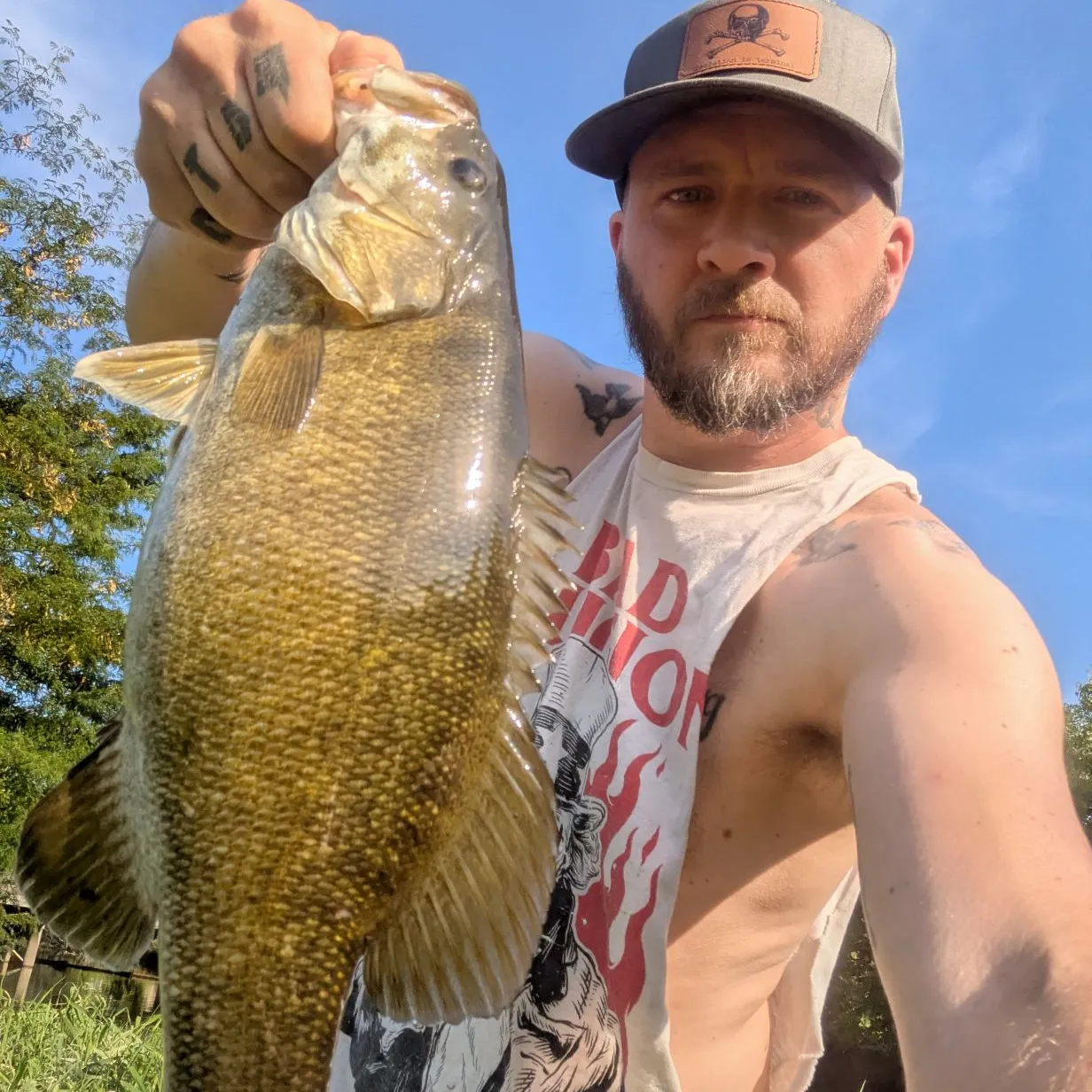 Largemouth bass caught on Fishbrain