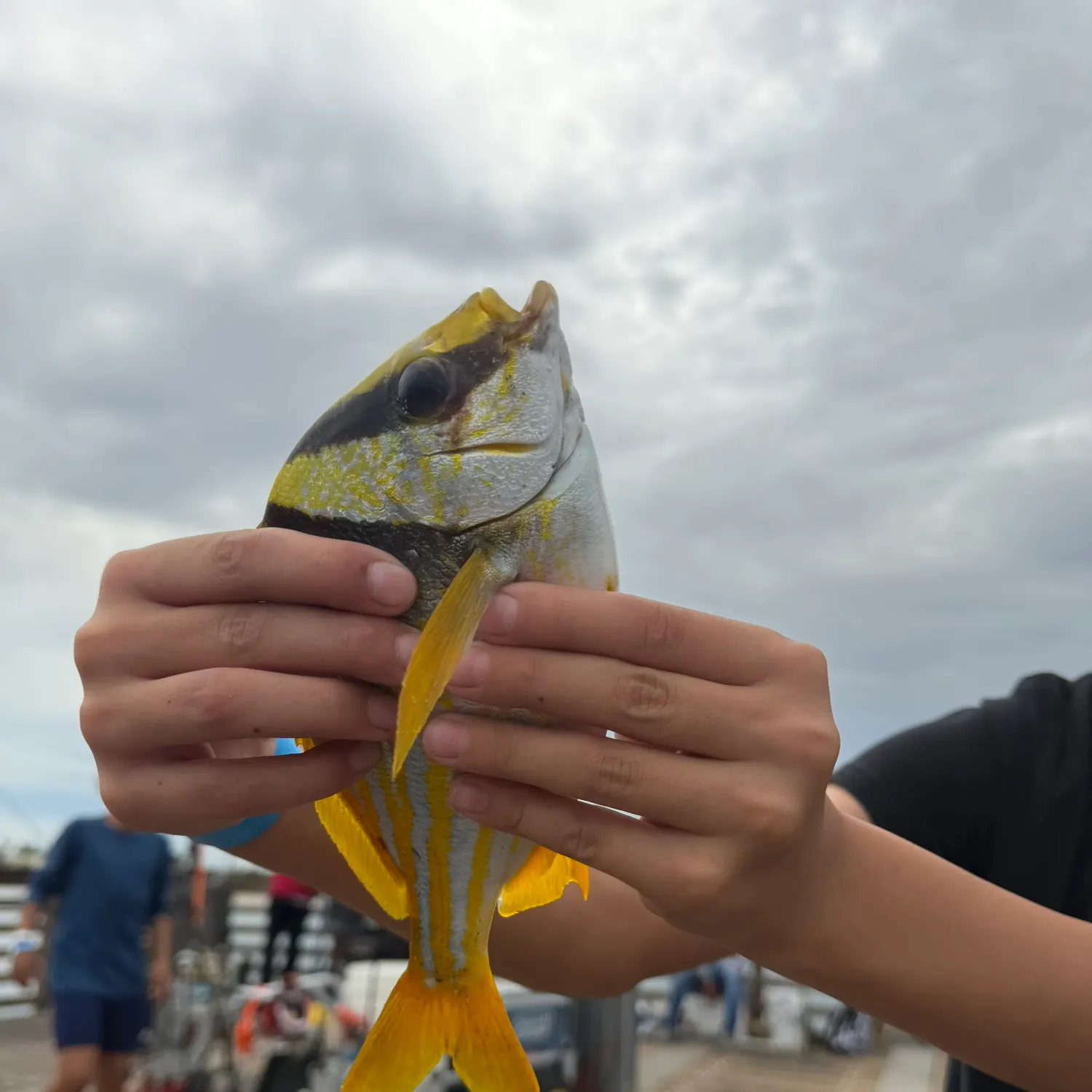 catch