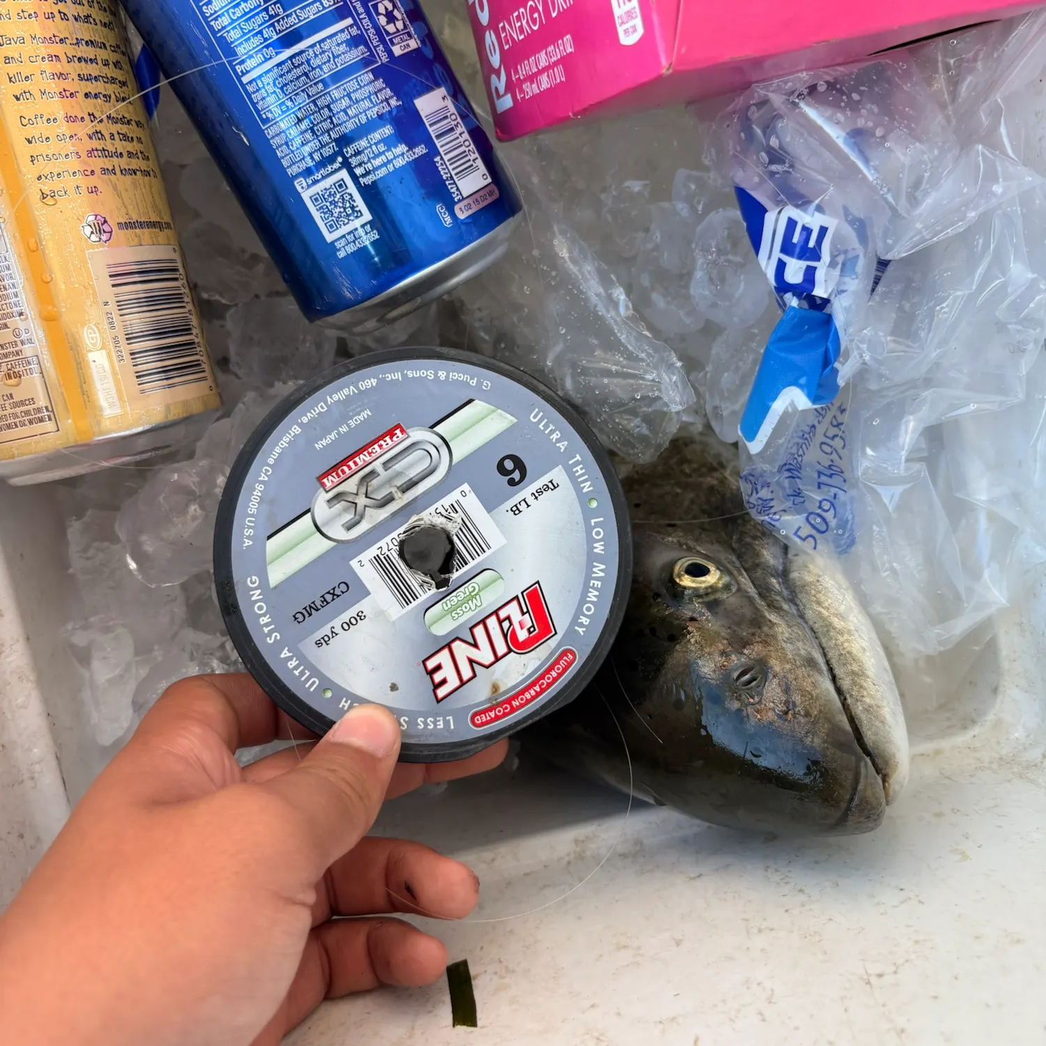 Chinook salmon caught on Fishbrain