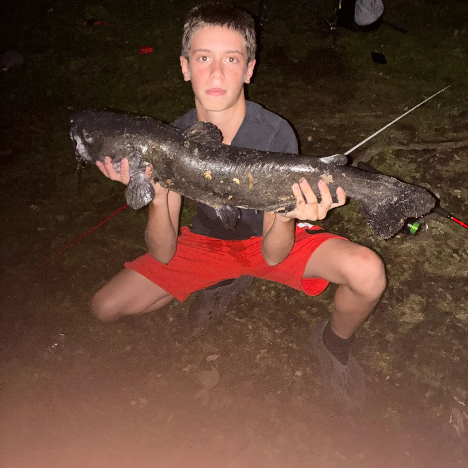 Channel catfish caught on Fishbrain