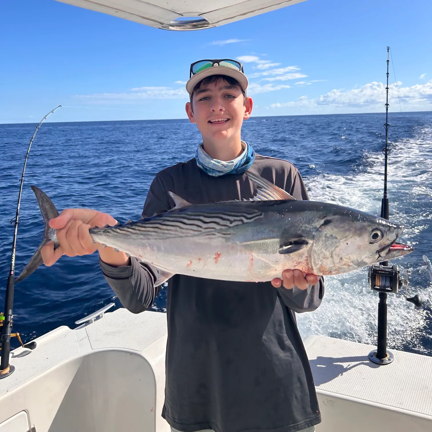 The most recent Little tunny catches on Fishbrain