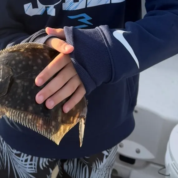 Summer flounder caught on Fishbrain