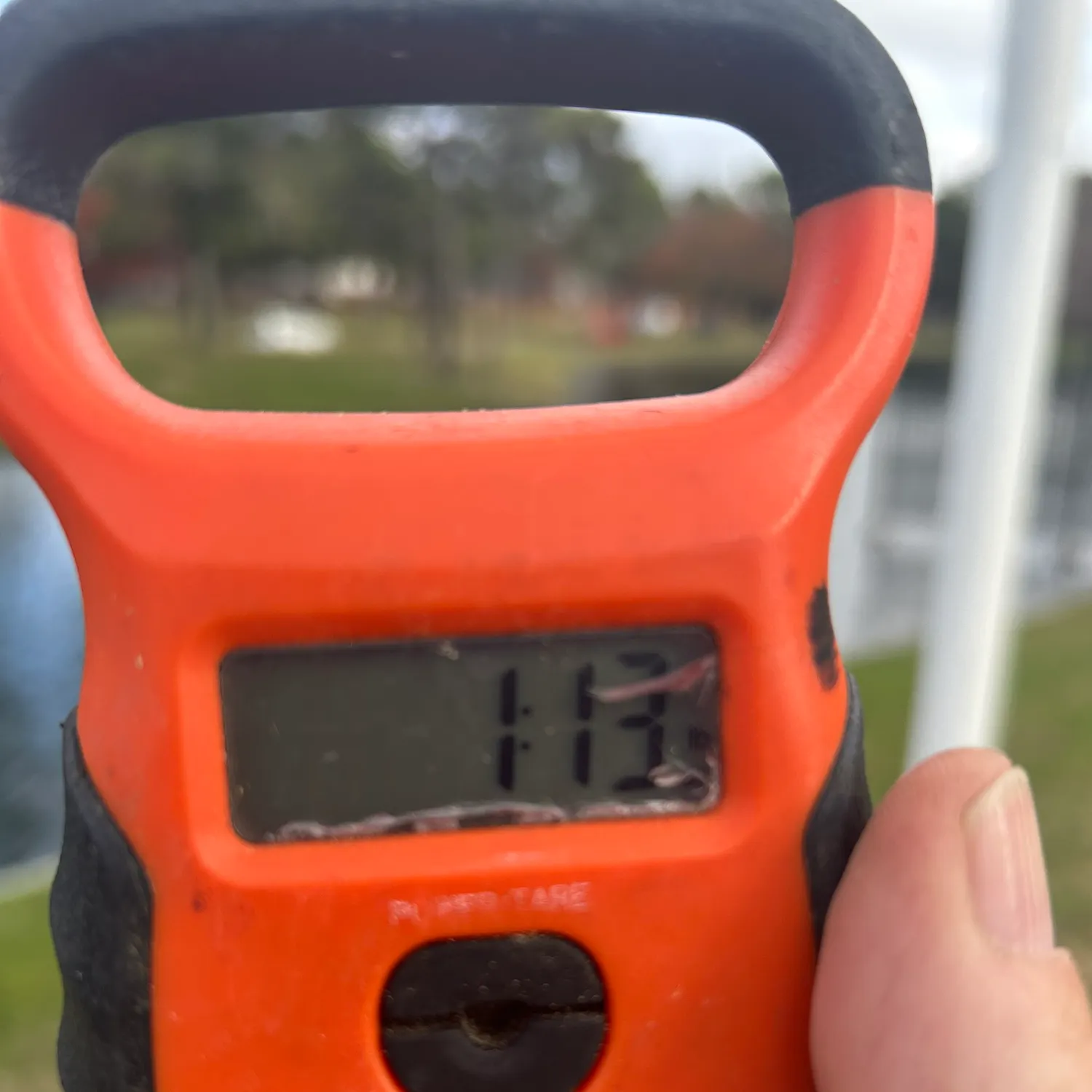 The most recent Largemouth bass catches on Fishbrain