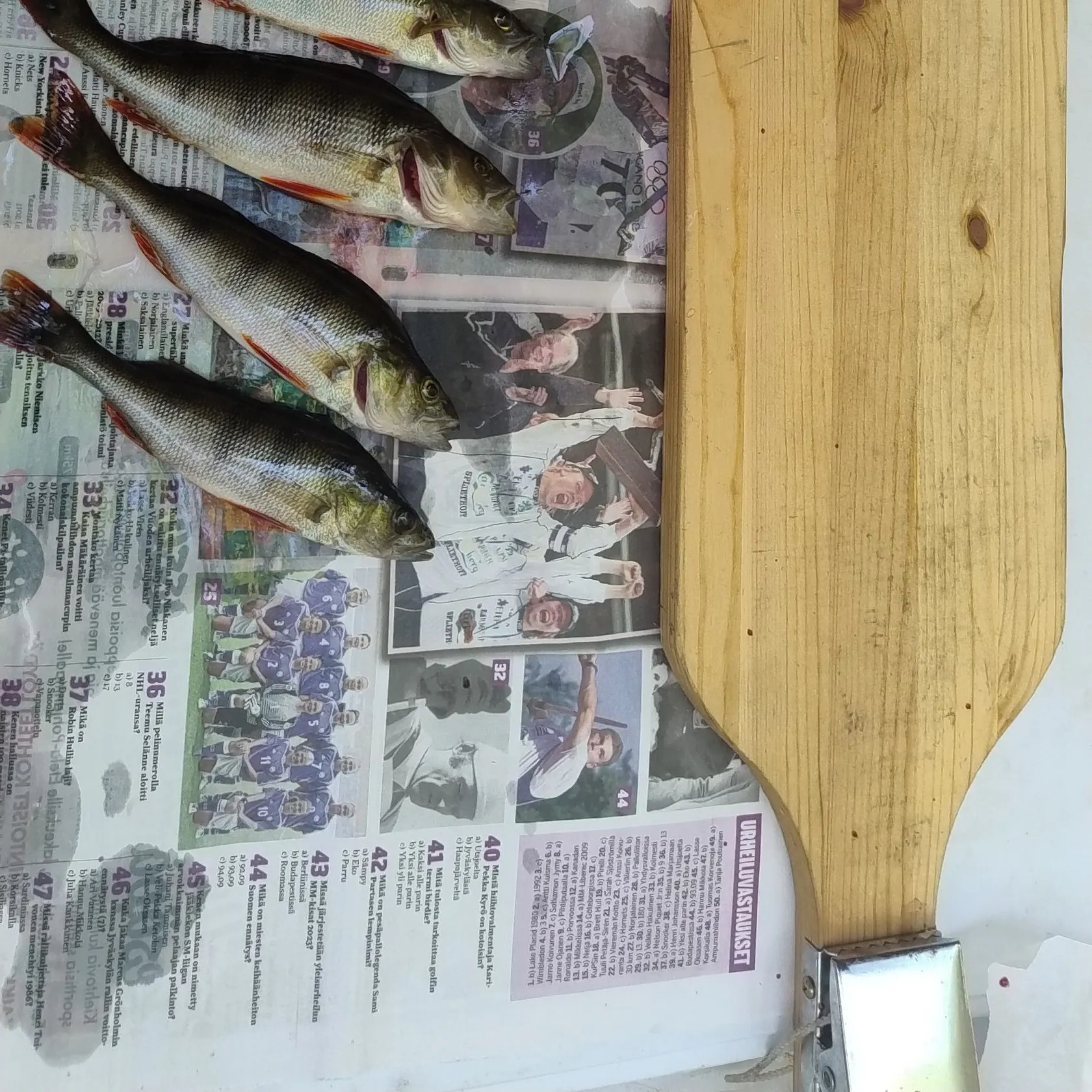 recently logged catches