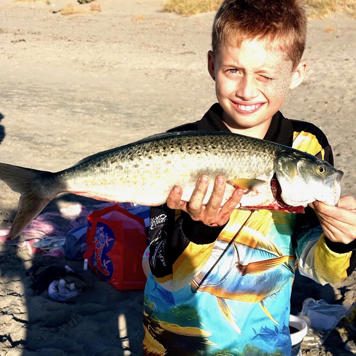 The most recent Western Australian salmon catches on Fishbrain