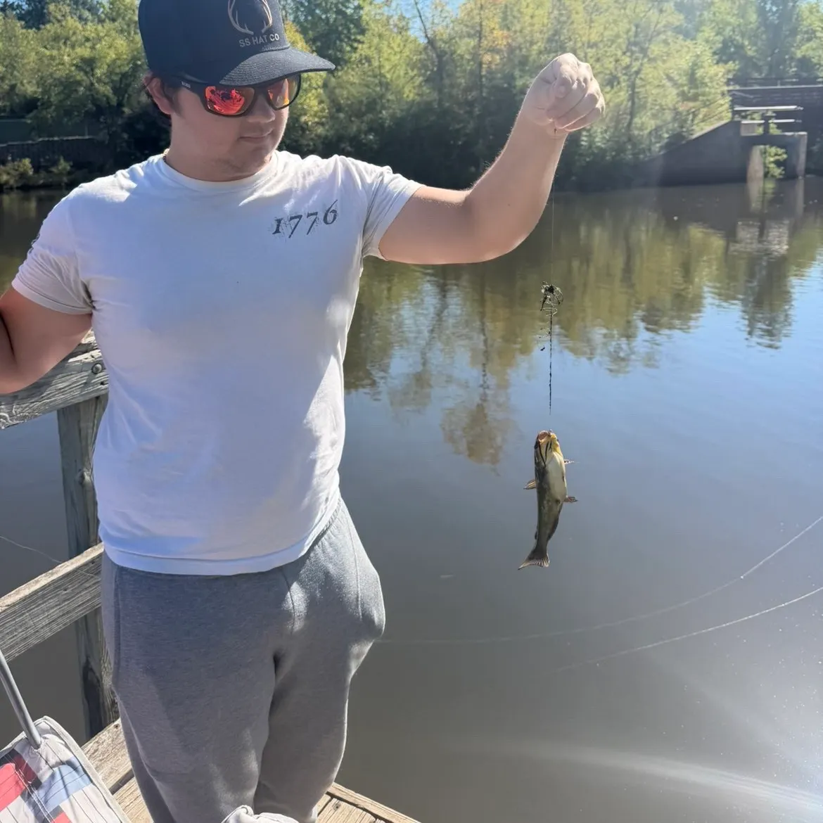 Yellow bullhead caught on Fishbrain