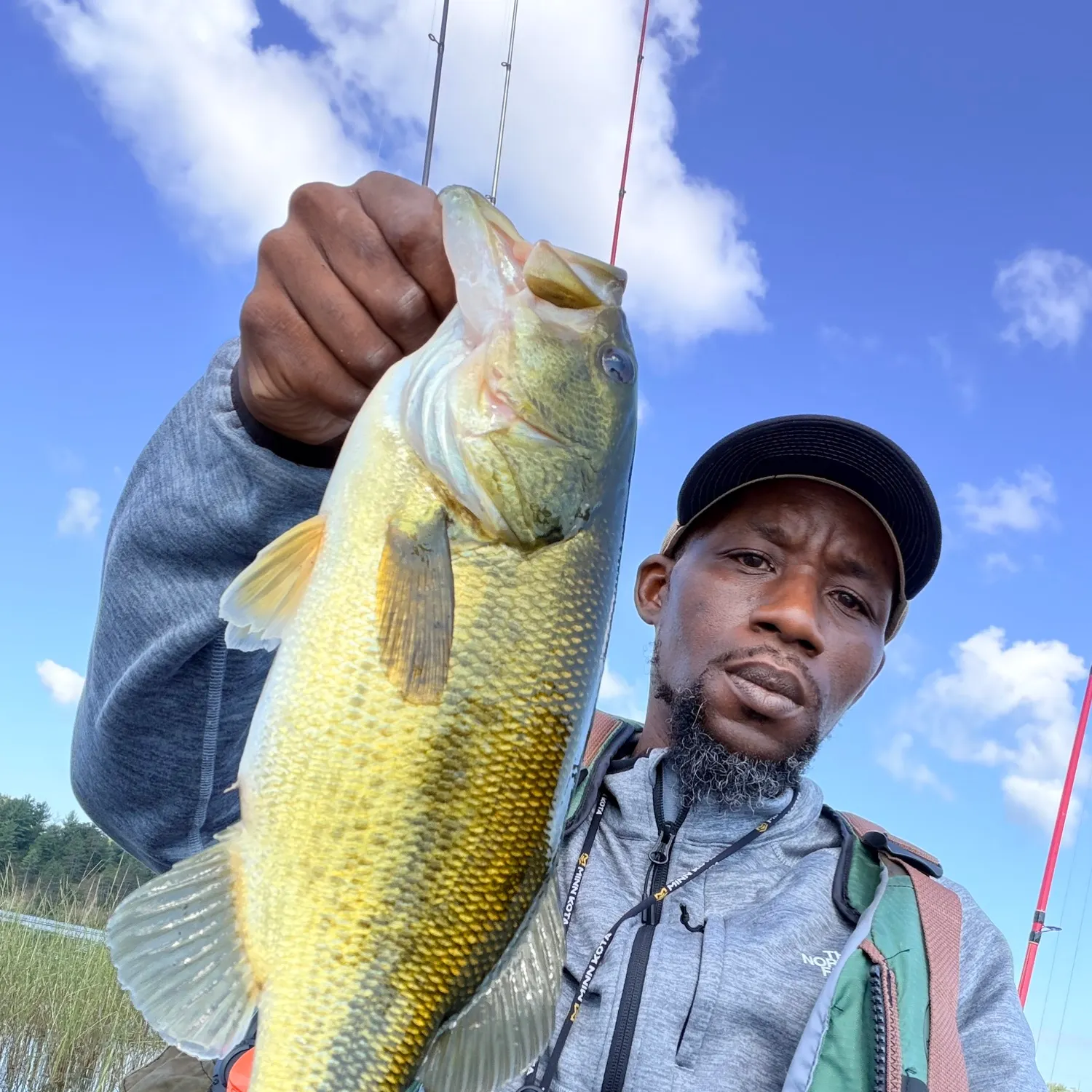 Largemouth bass caught on Fishbrain