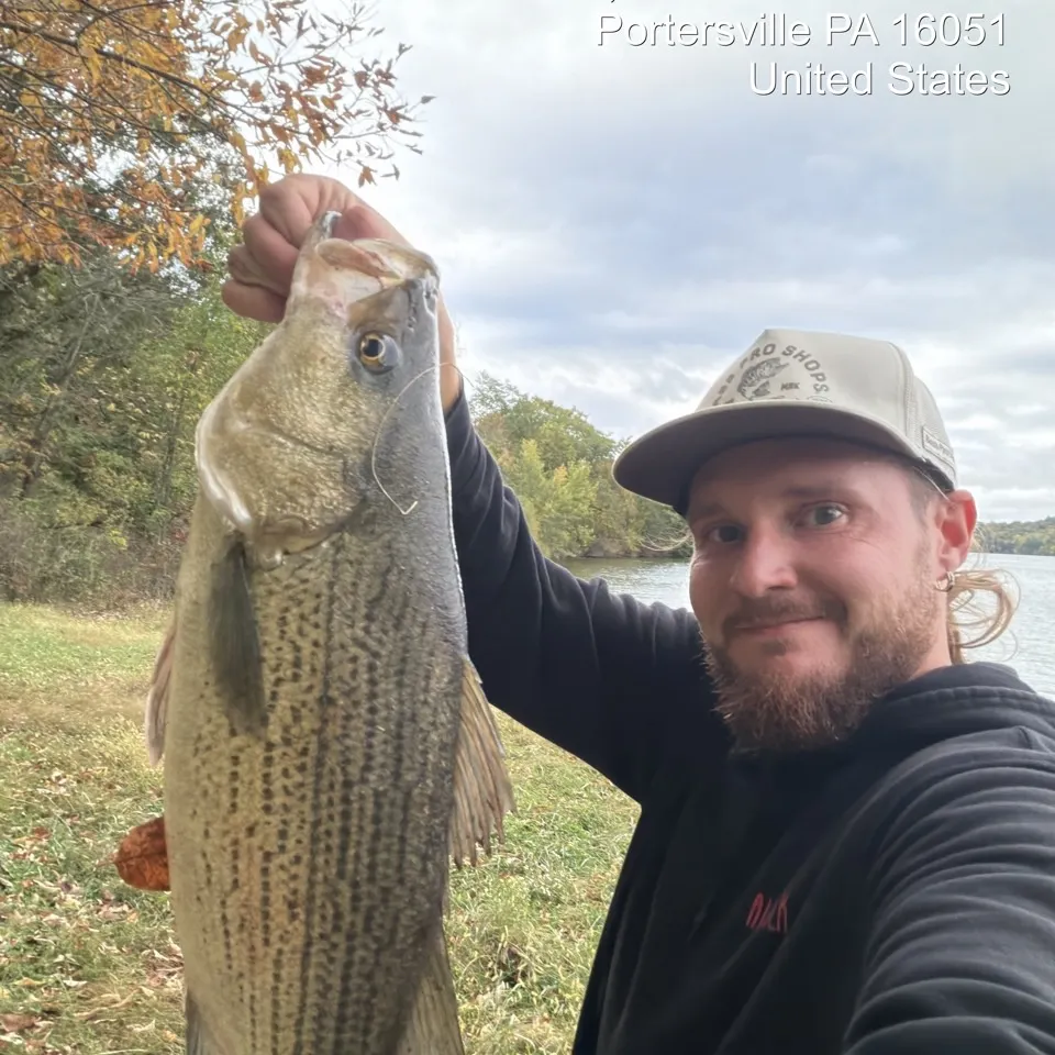 Wiper caught on Fishbrain