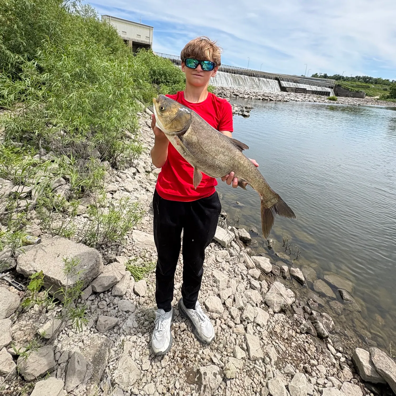 The most recent Silver carp catches on Fishbrain