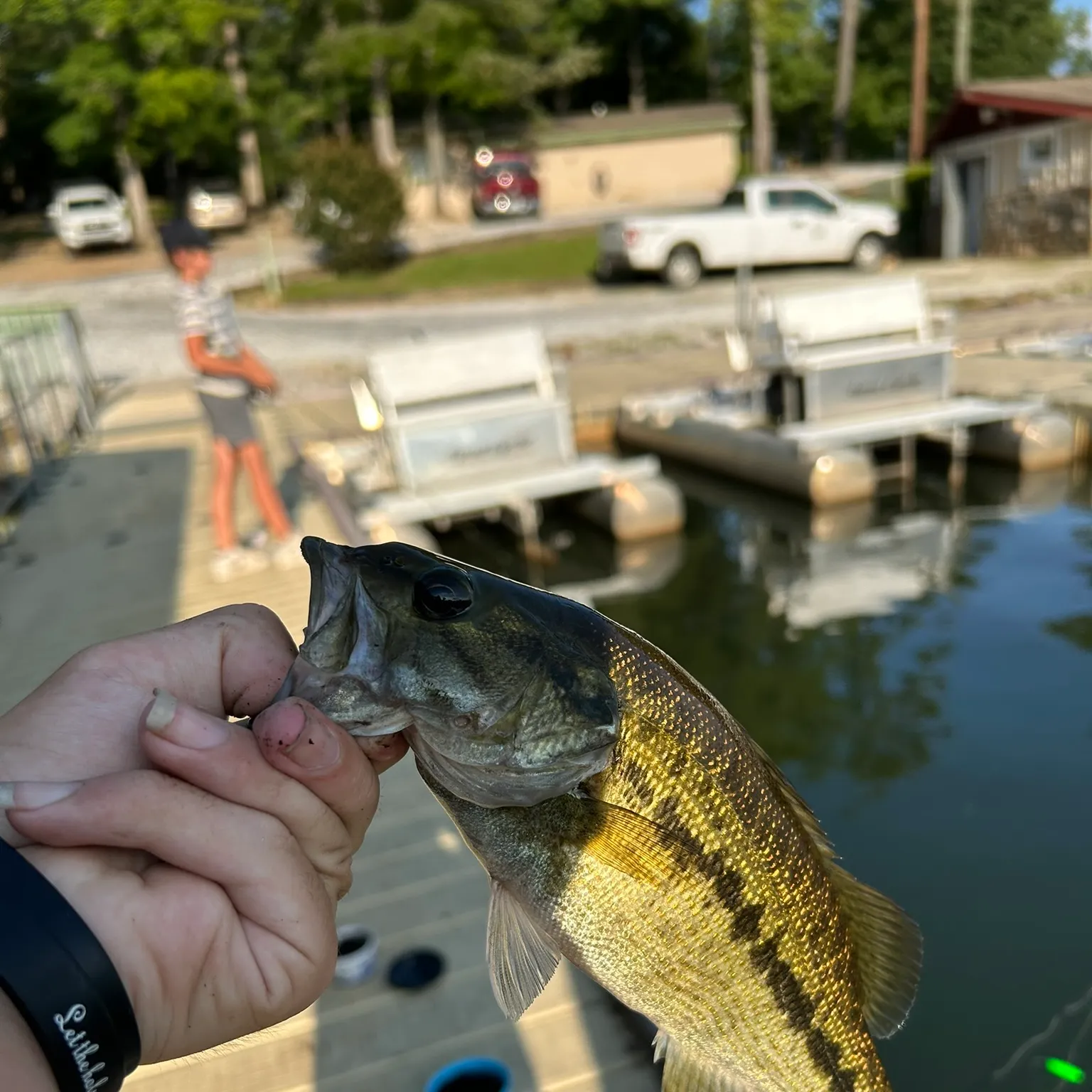 catch