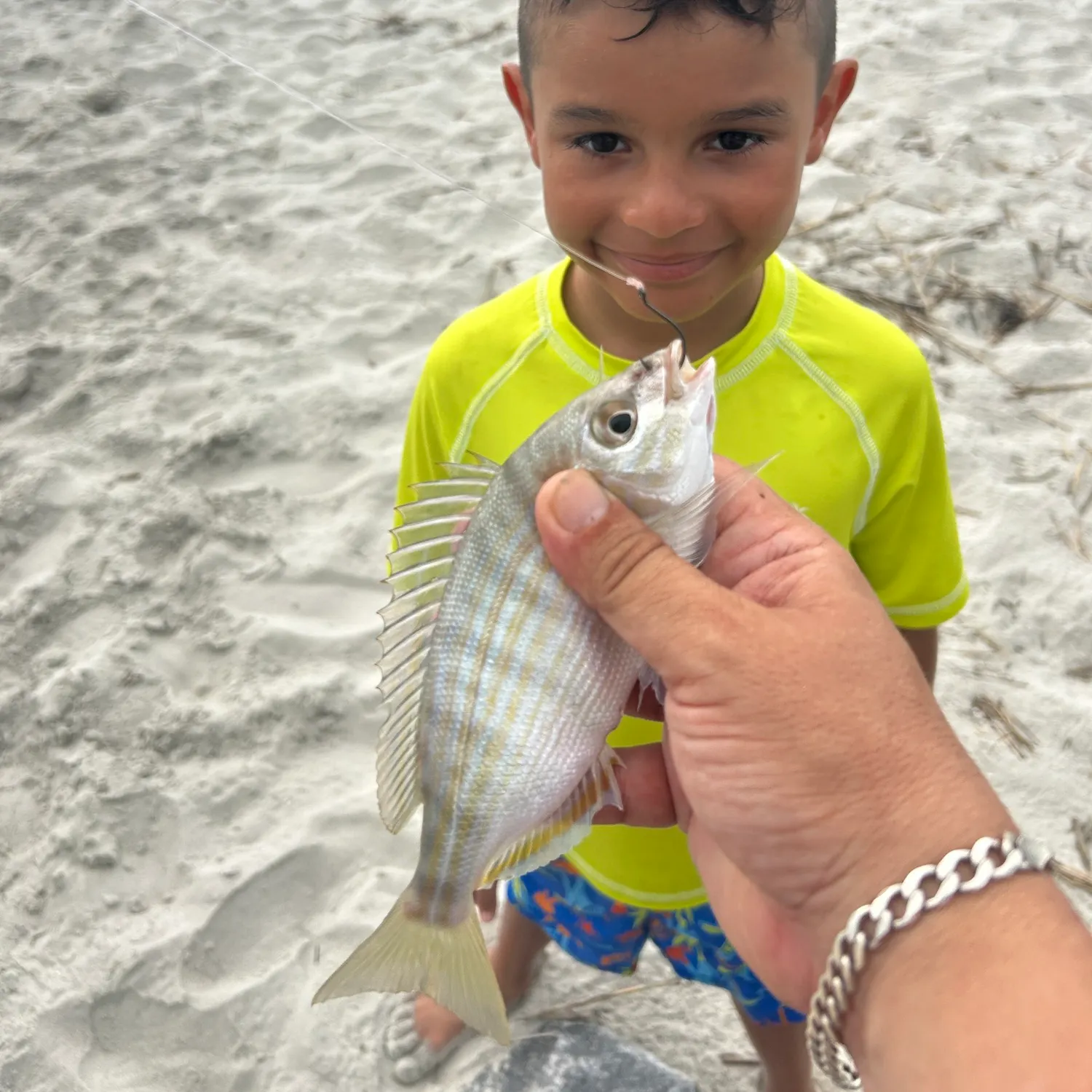 The most recent Pinfish catches on Fishbrain