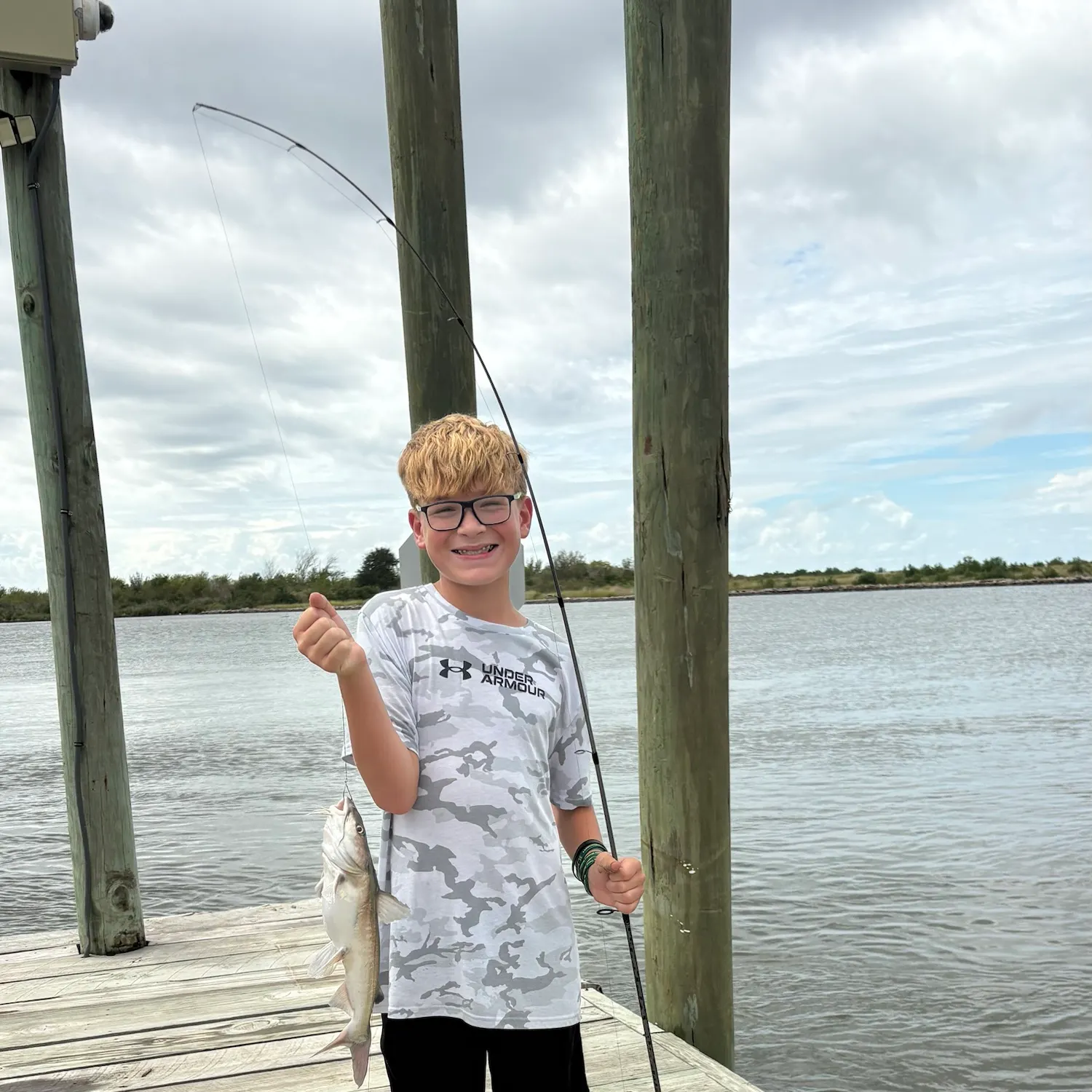 Hardhead sea catfish caught on Fishbrain