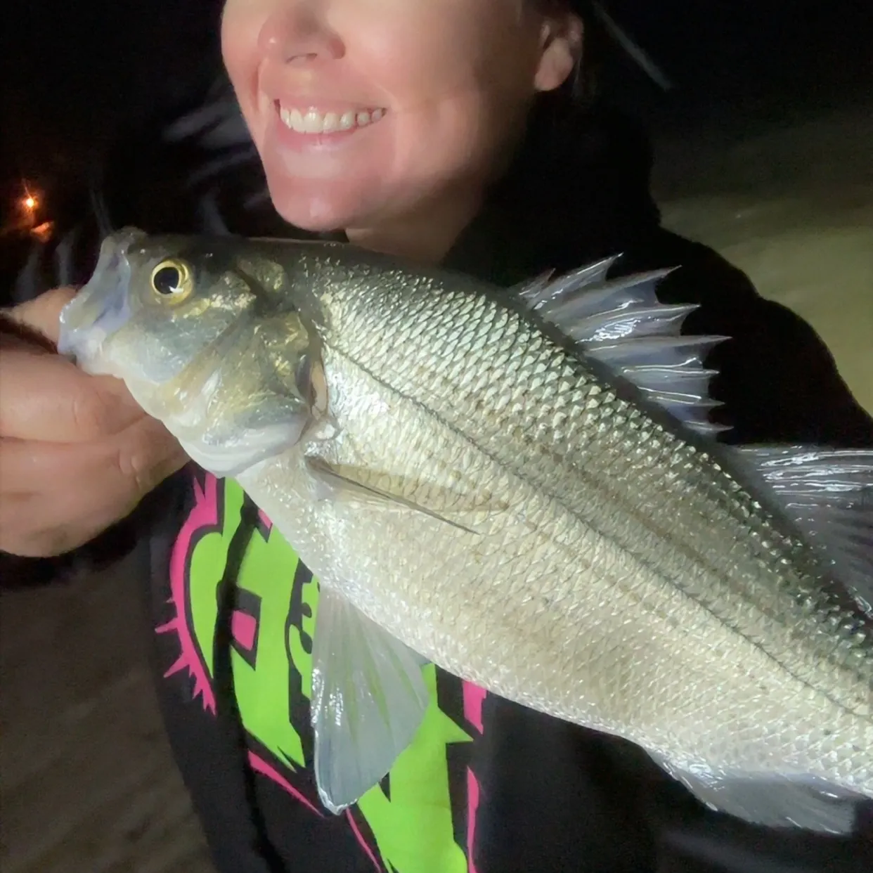 The most recent Hybrid striped bass catches on Fishbrain