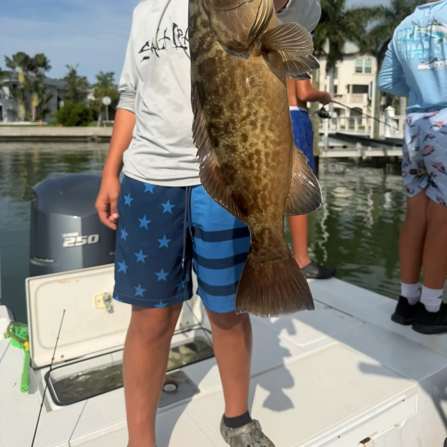 The most recent Black grouper catches on Fishbrain