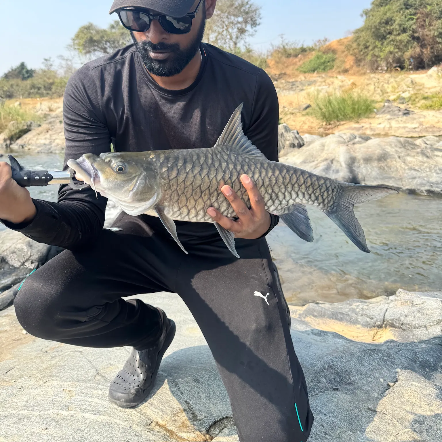 The most recent Tor mahseer catches on Fishbrain