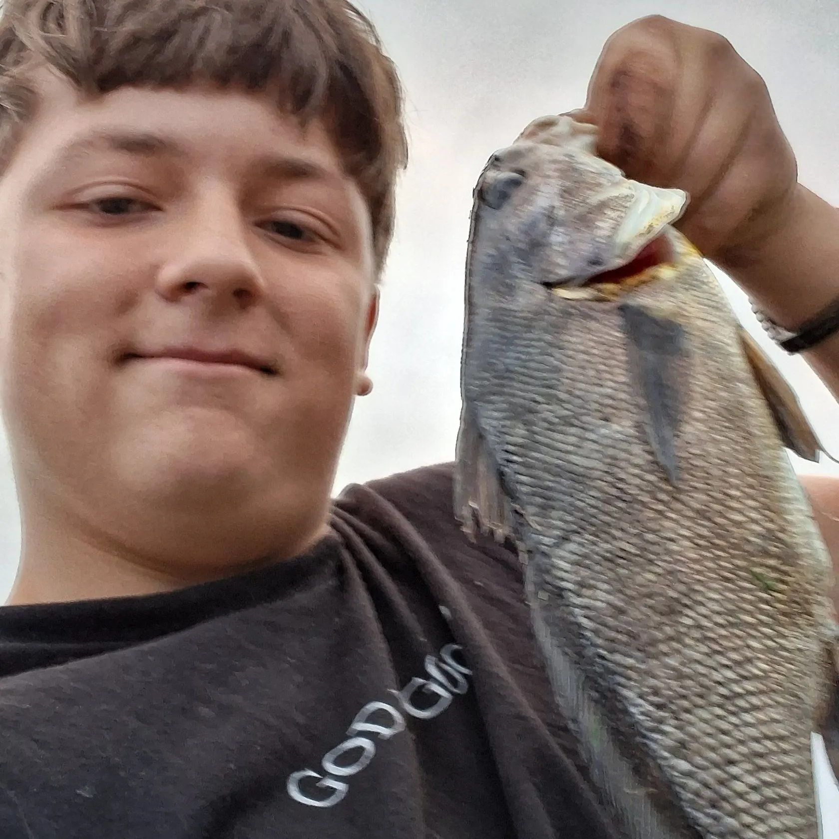 Freshwater drum caught on Fishbrain