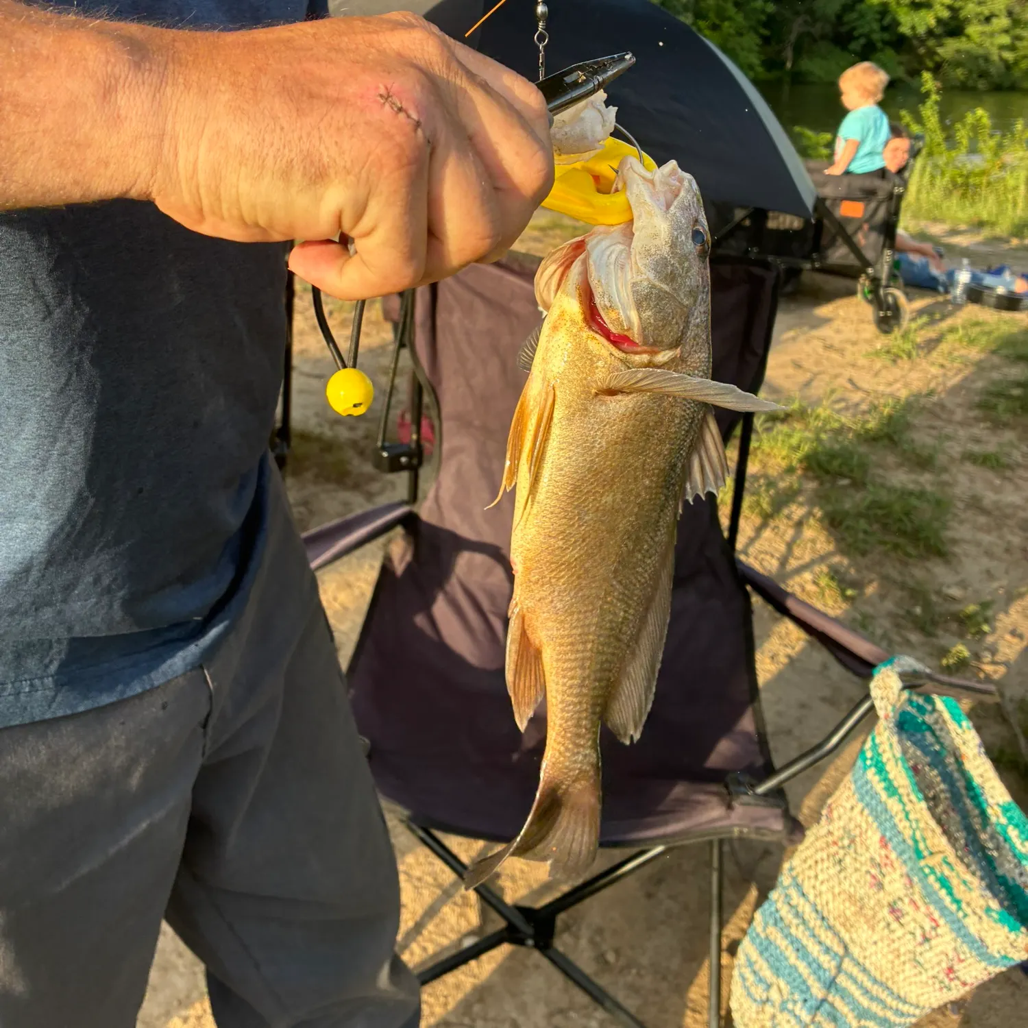 catch