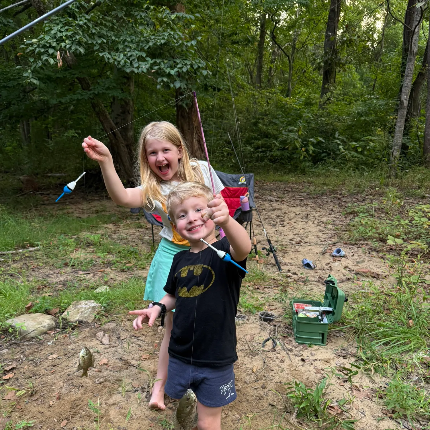 Bluegill caught on Fishbrain