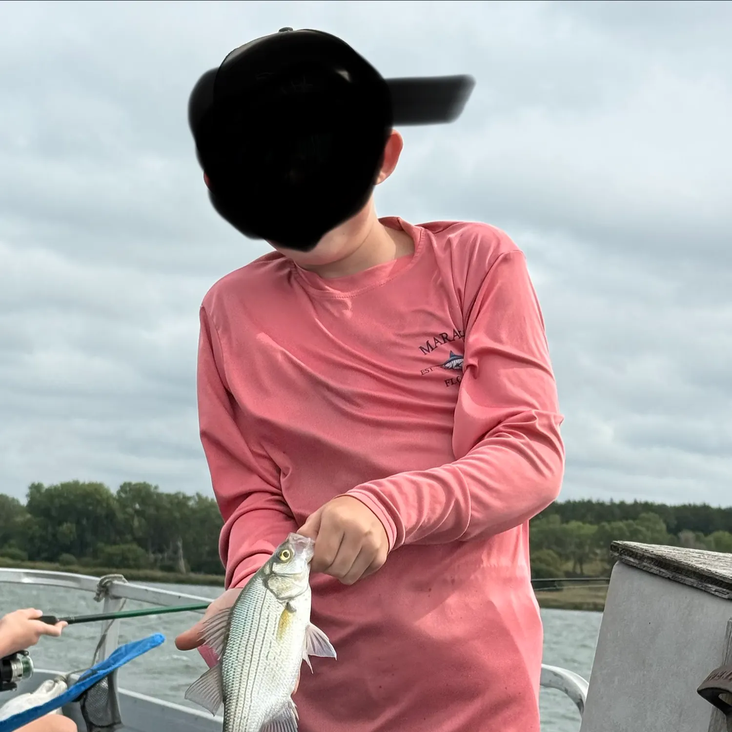 The most recent White bass catches on Fishbrain