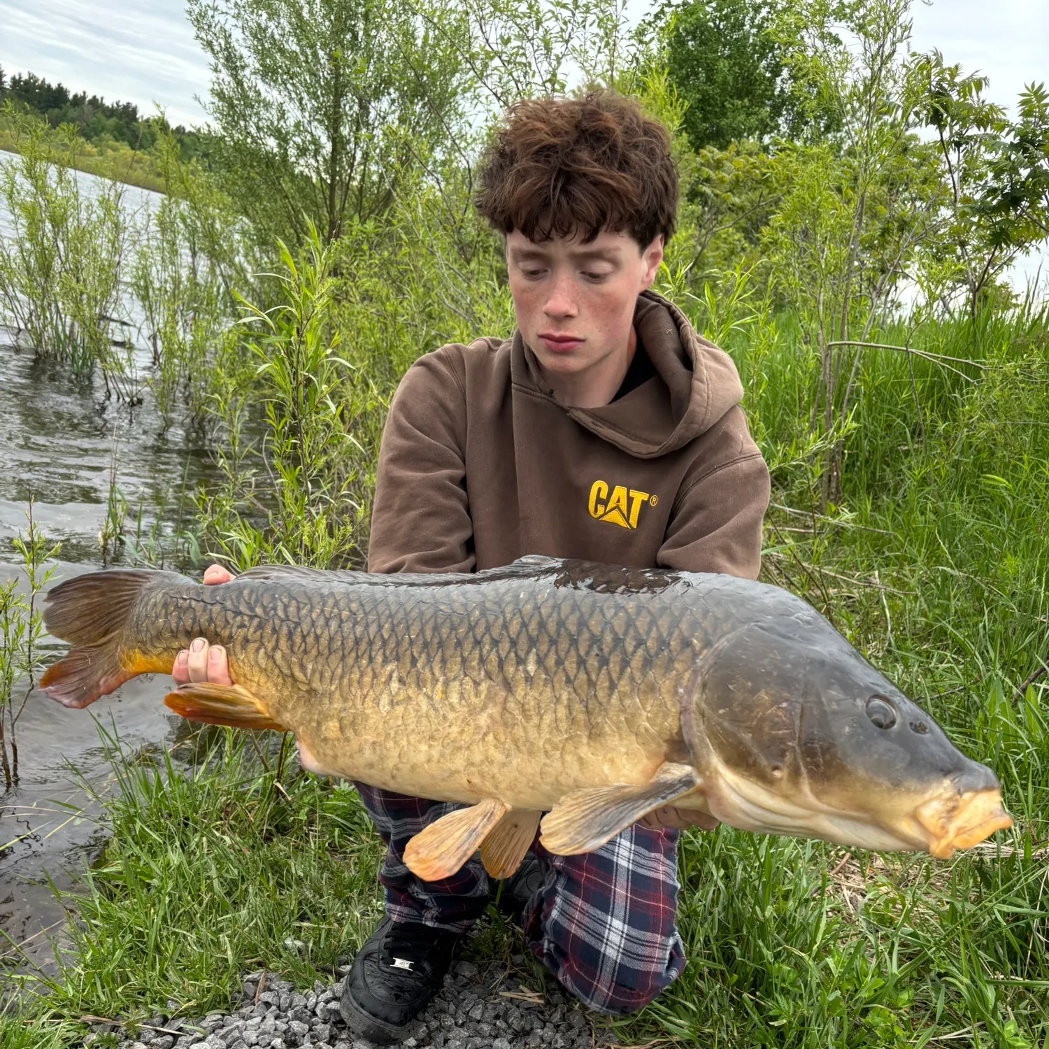 catch