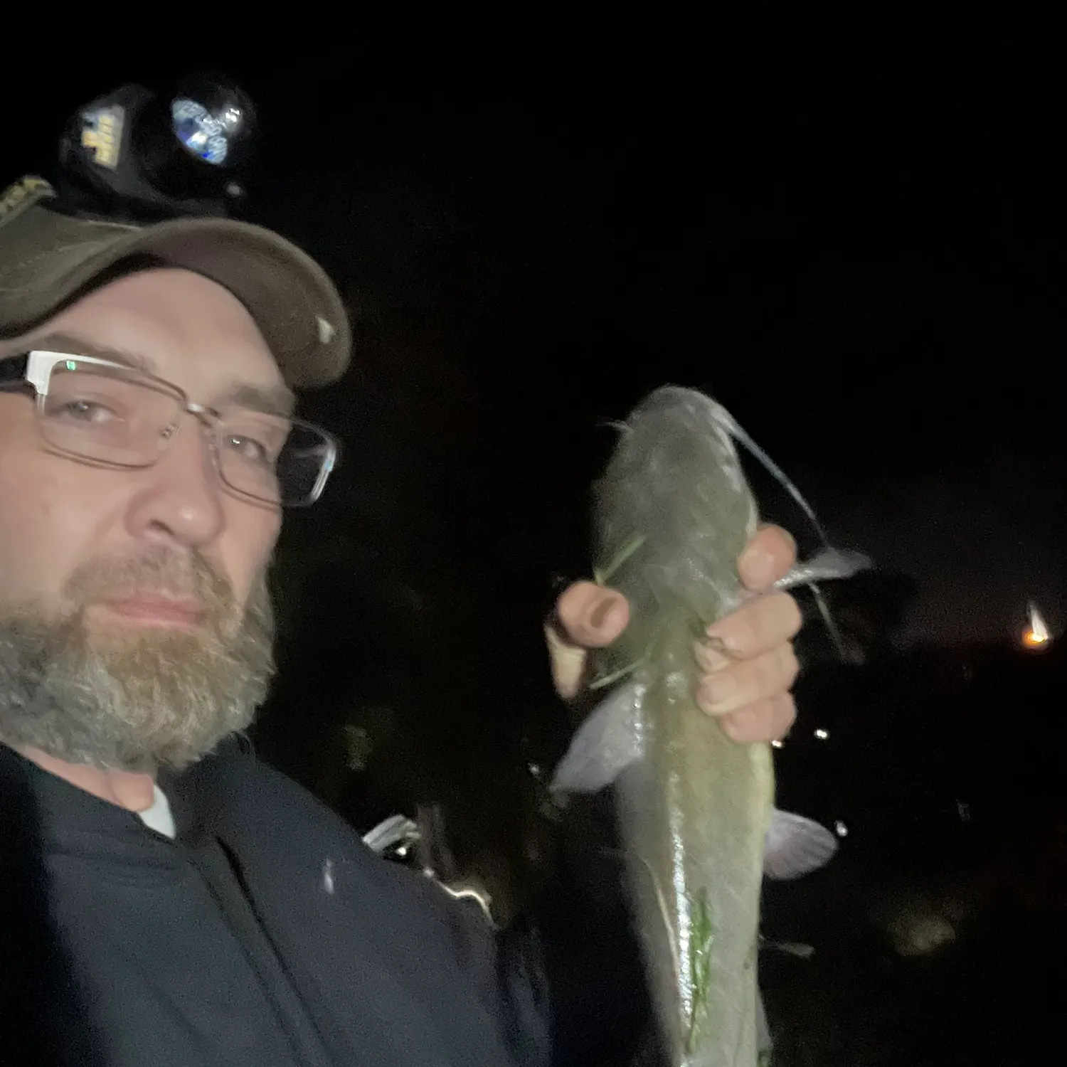Channel catfish caught on Fishbrain