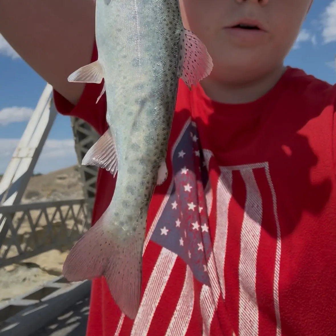 Rainbow trout caught on Fishbrain