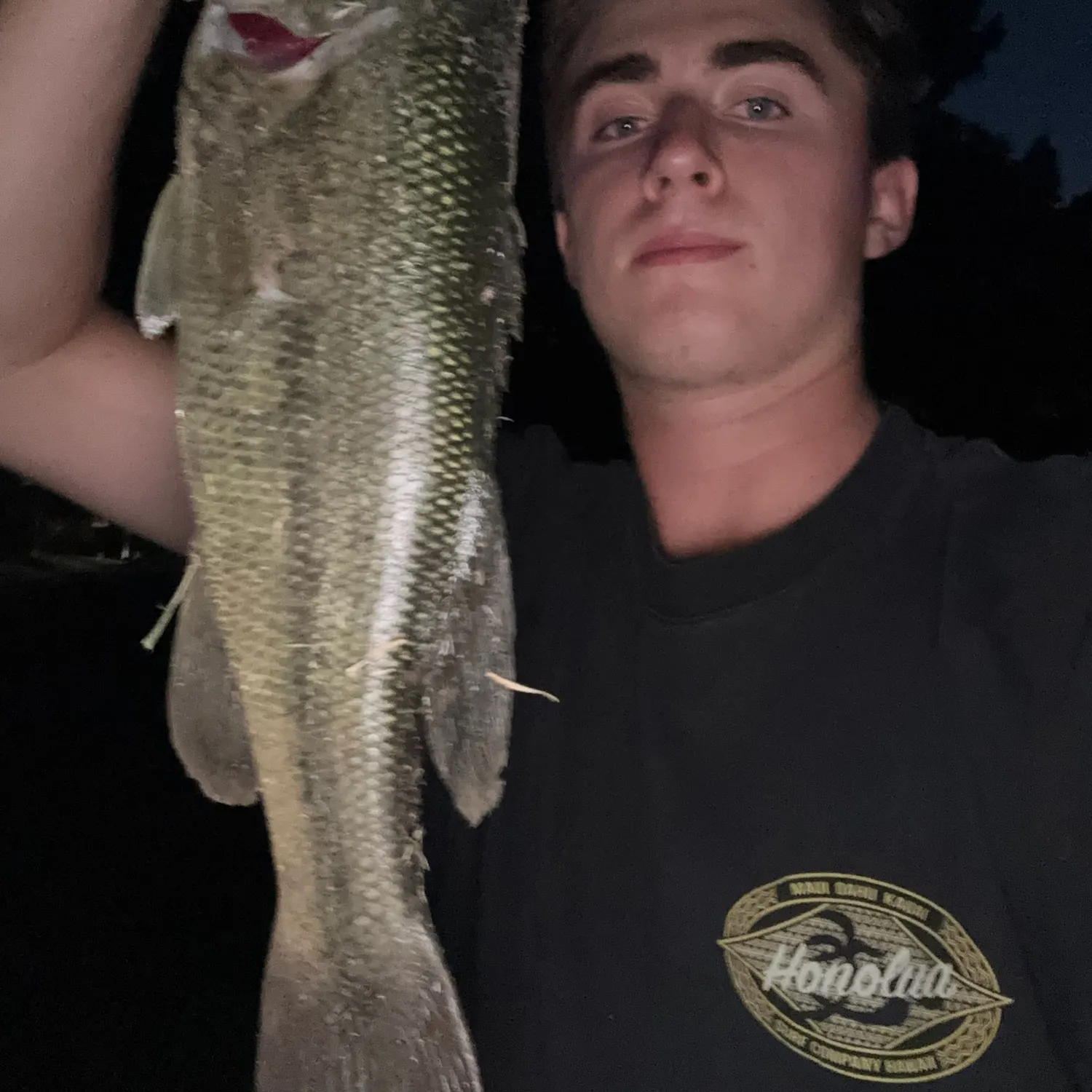 Largemouth bass caught on Fishbrain