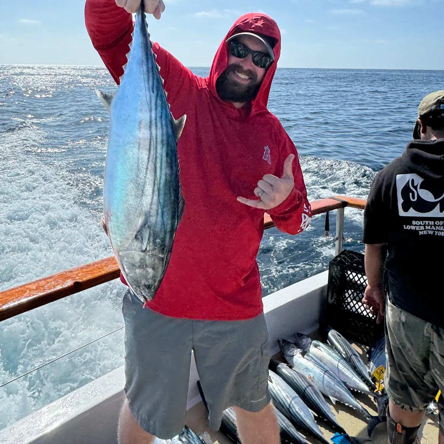The most recent Eastern Pacific bonito catches on Fishbrain