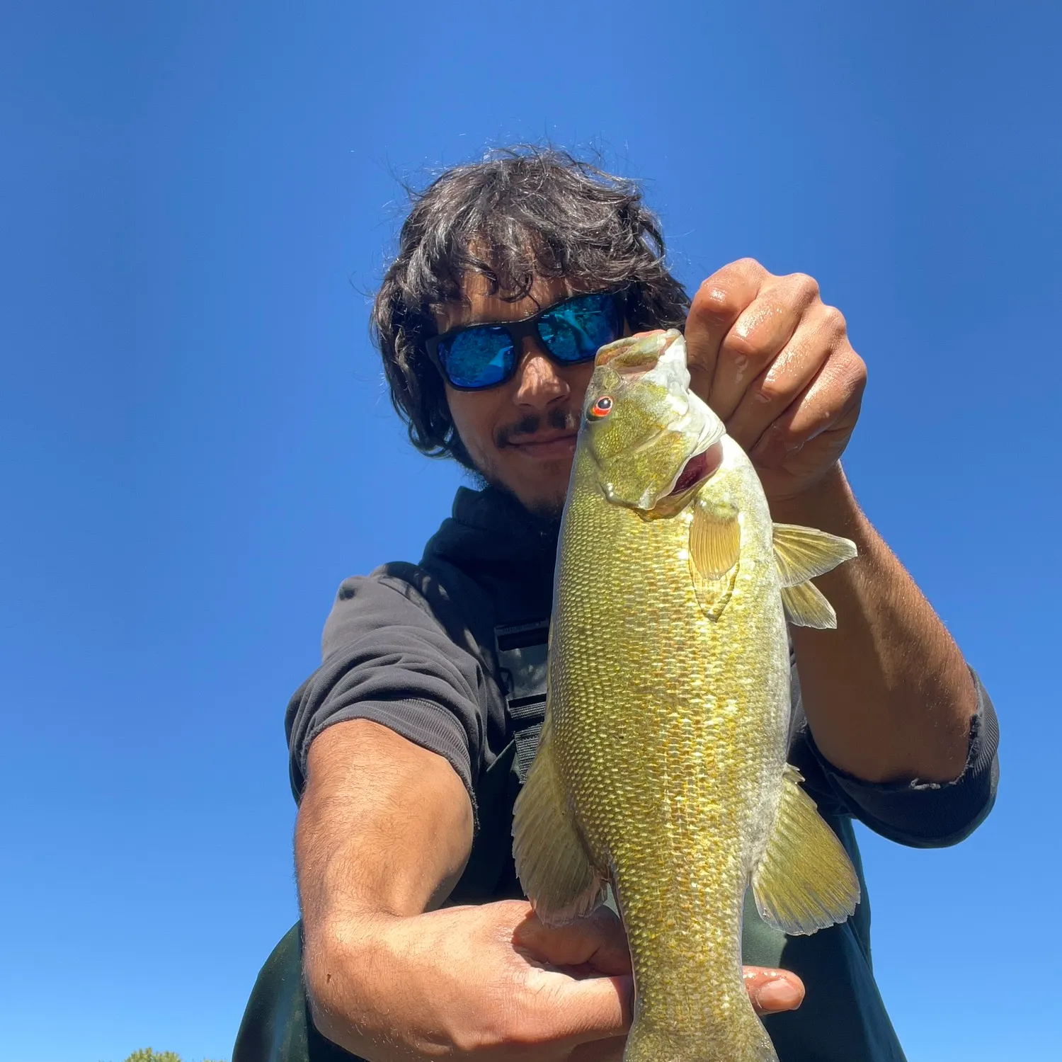 Smallmouth bass caught on Fishbrain